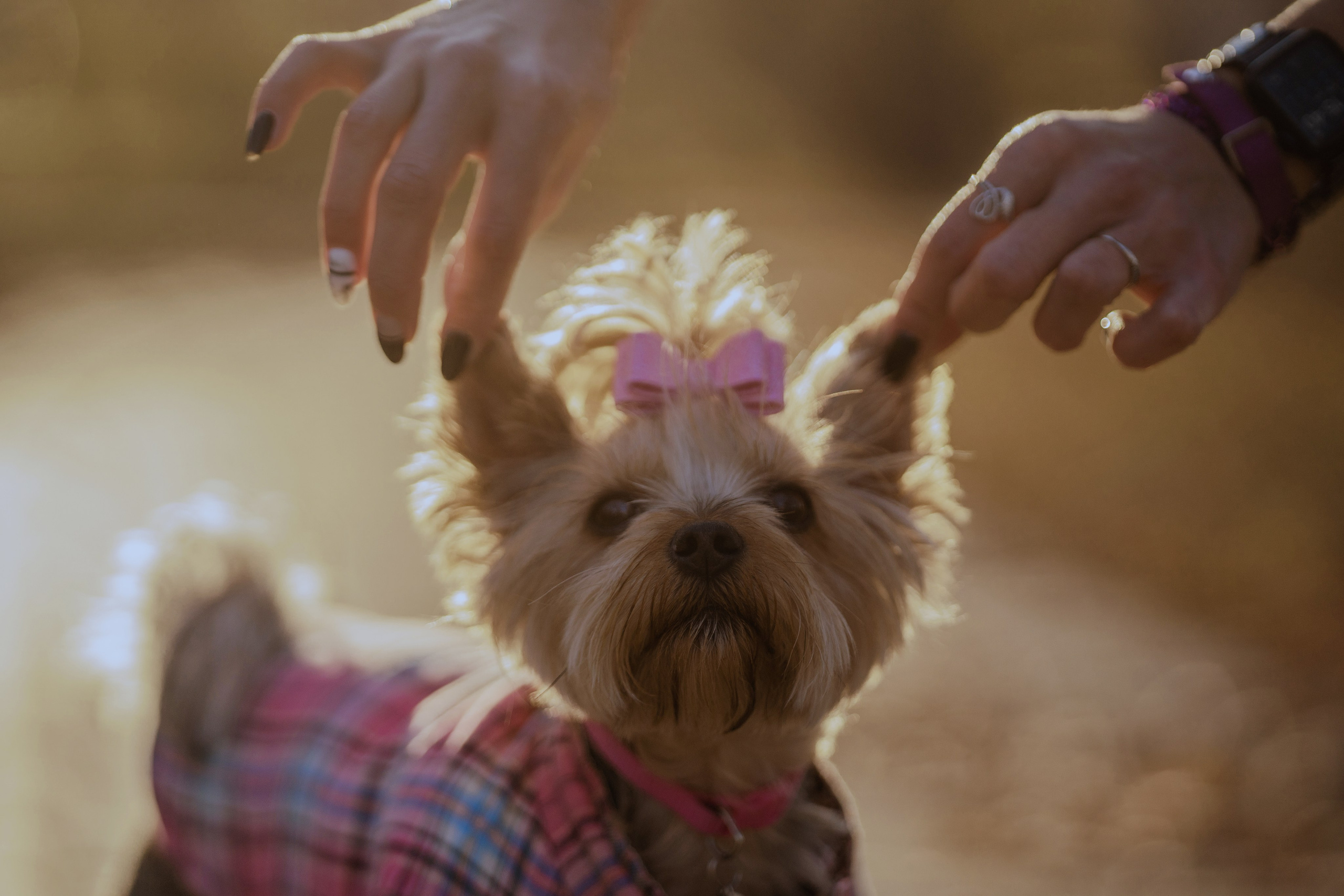 Мария + Роксана (история дружбы). Kameramotor74