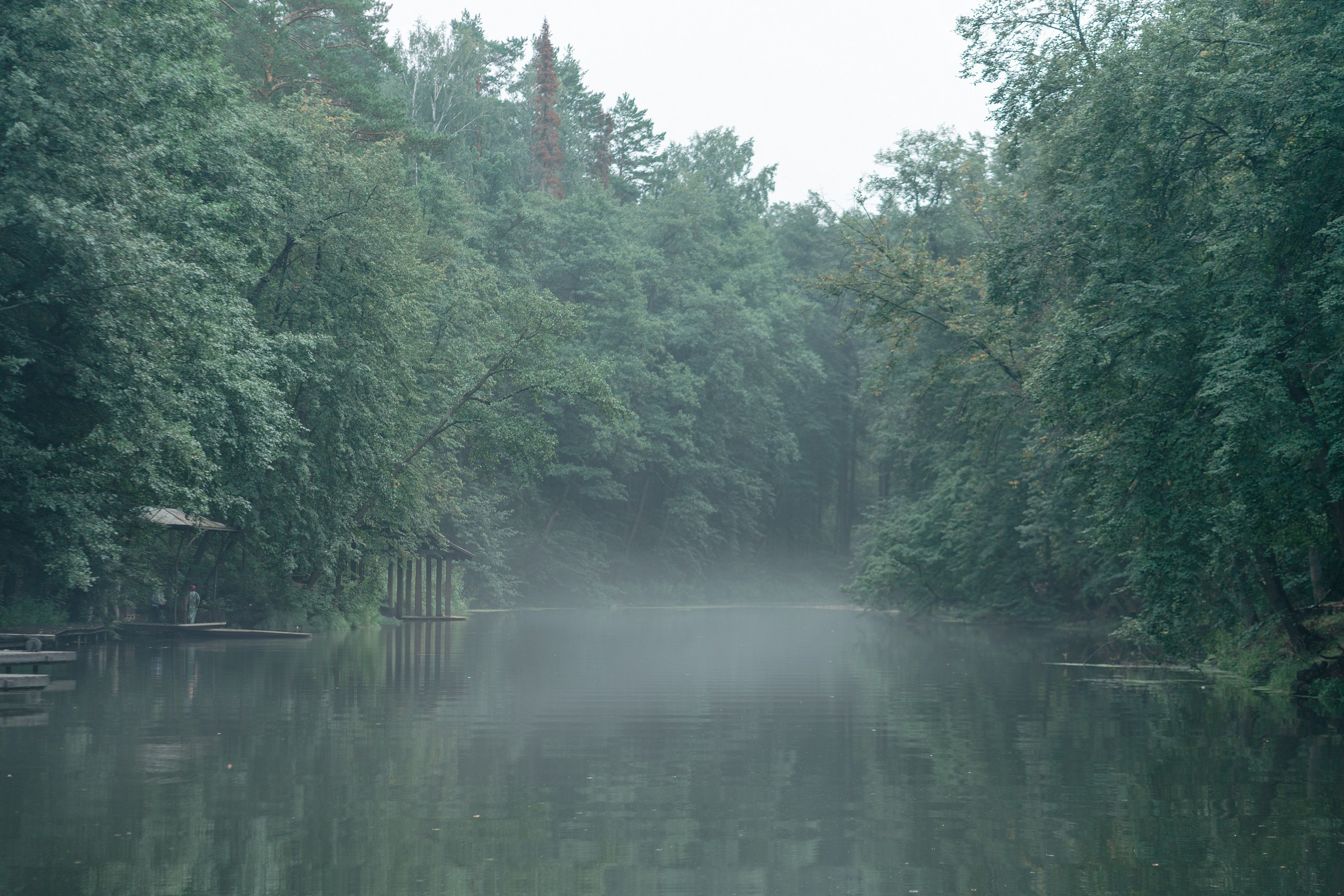 Пихта Артемий Диана. Свадебный Фотограф Казань Челны