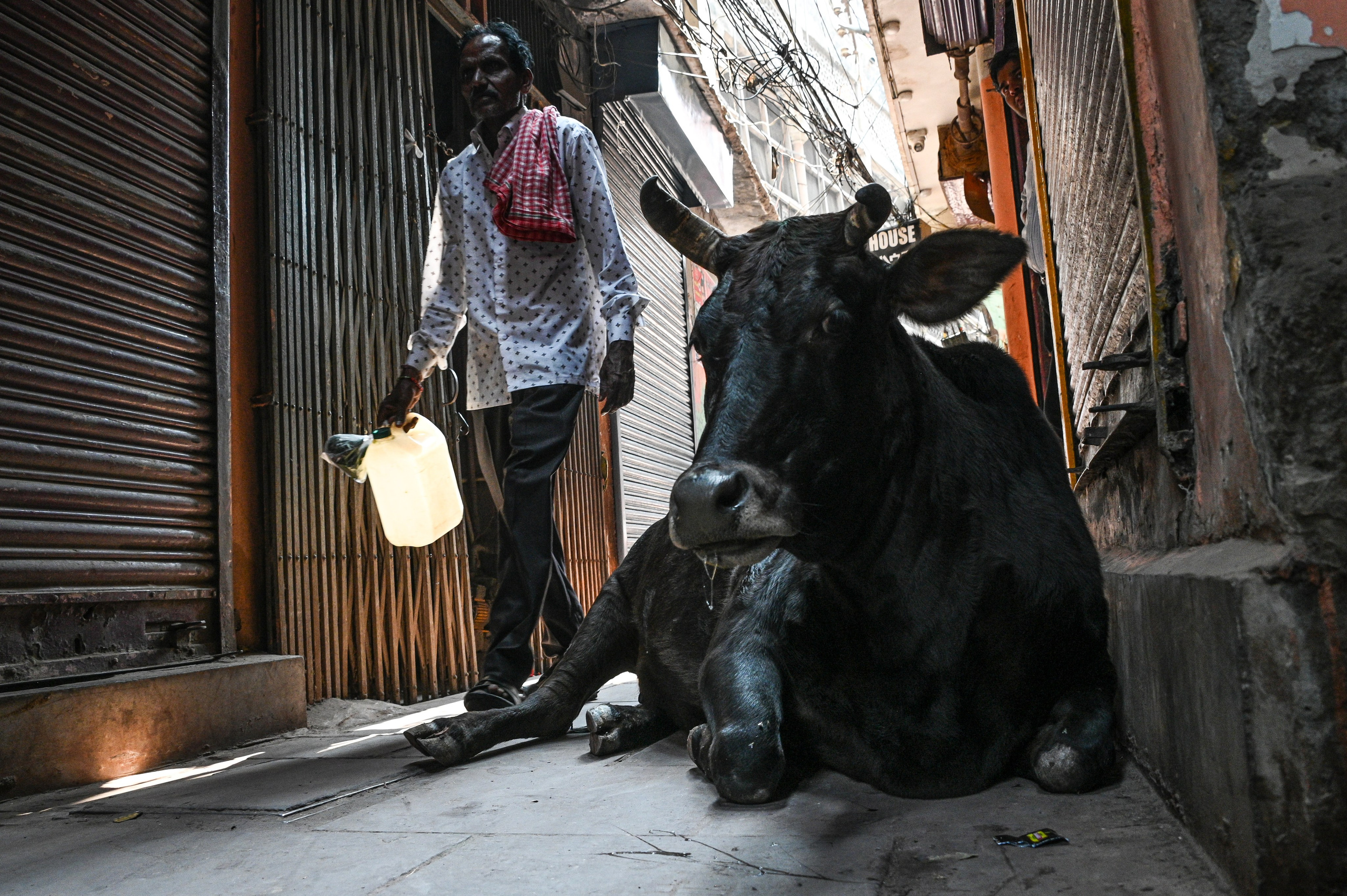 Невероятная Индия. Игорь Иванко — Репортажный и событийный фотограф. Москва