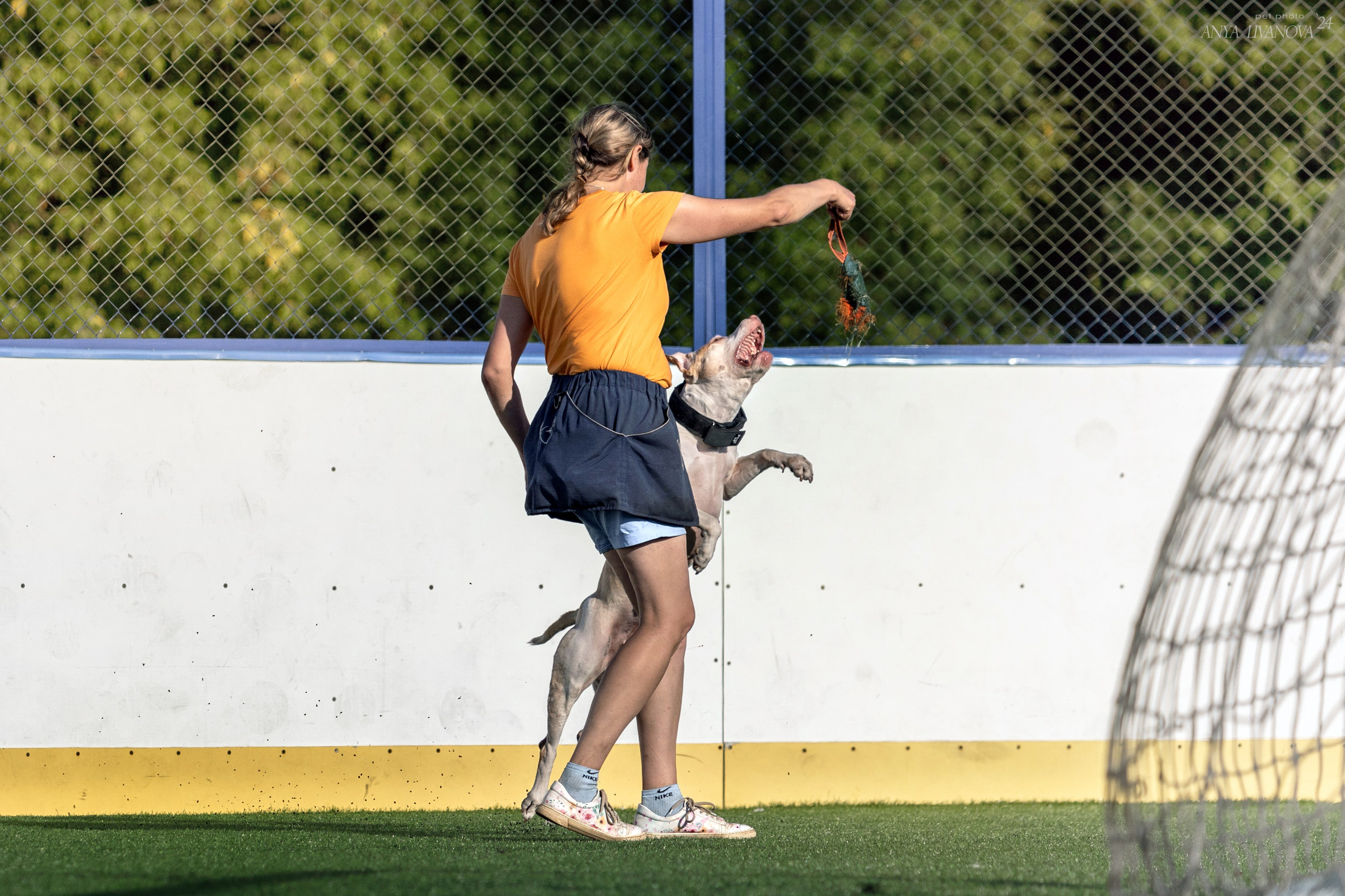 Ралли обидиенс. Фотограф анималист Аня Ливанова | Рыбинск