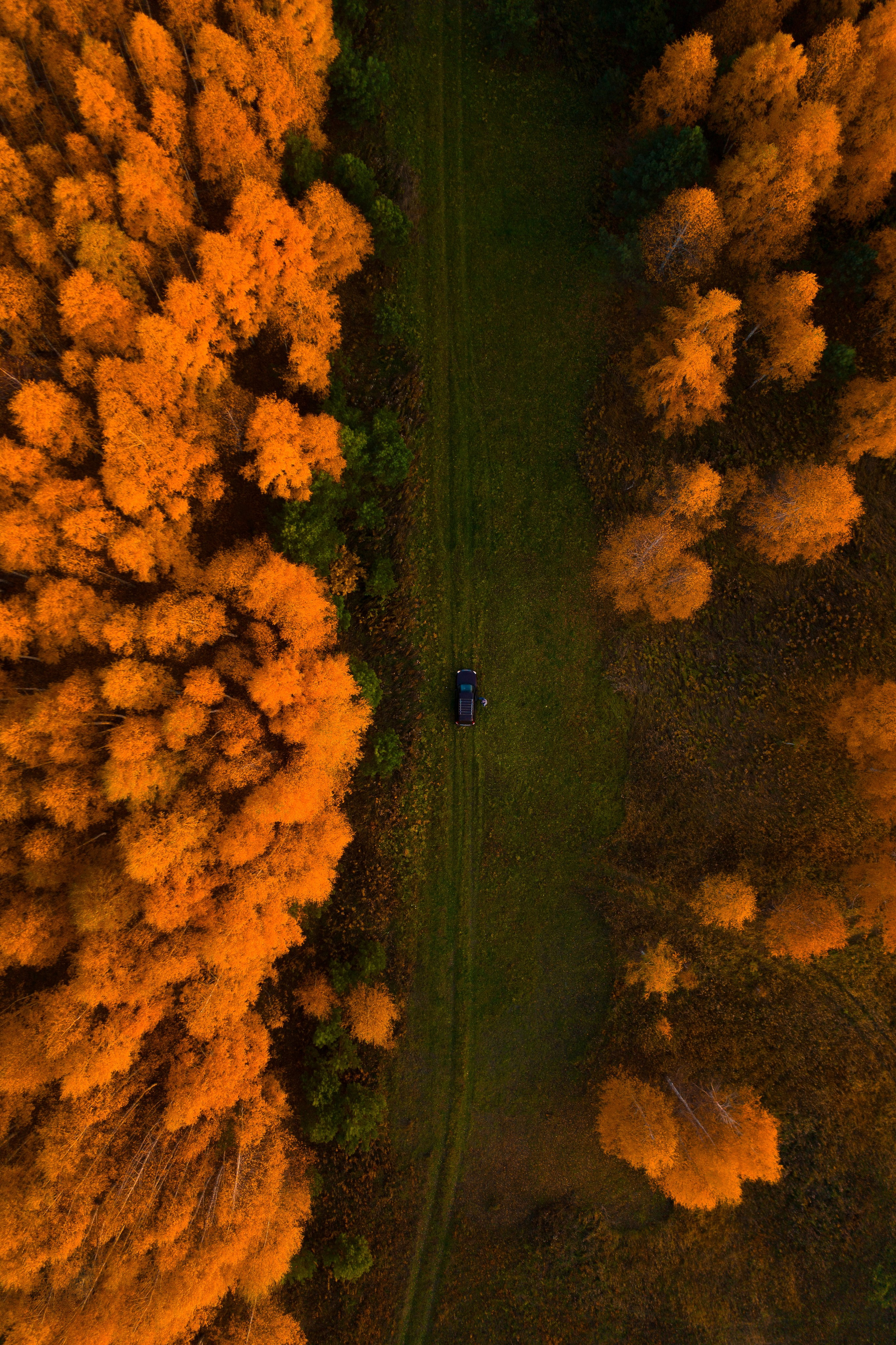 ЦВЕТНЫЕ ФОТОГРАФИИ. Никита Аничкин фото и видео оператор из России