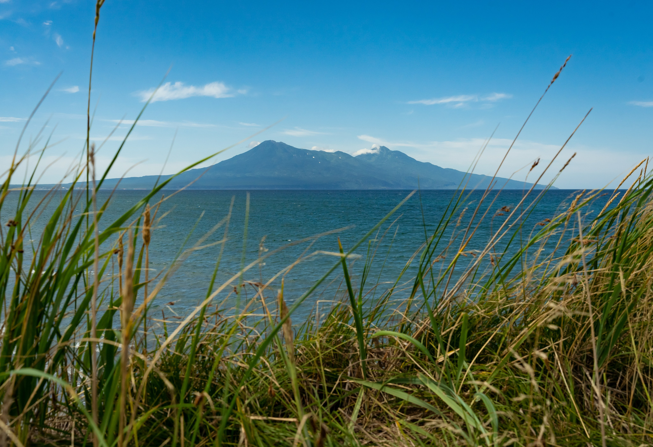 Итуруп. Семейный фотограф Варвара Сорока в городе Москве