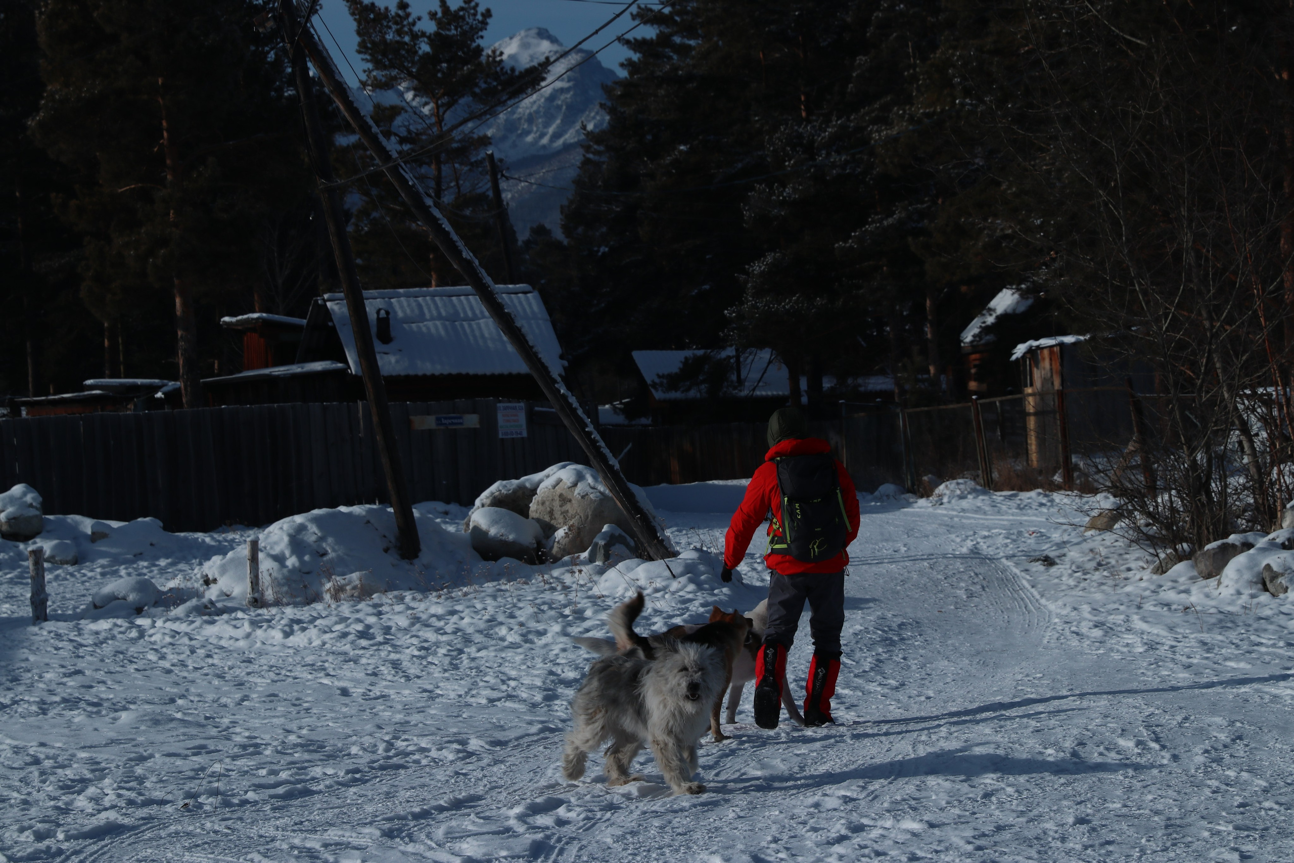 Аршан. Январь 2024. Путешественник-фотограф из Санкт-Петербурга Татьяна Свистулина