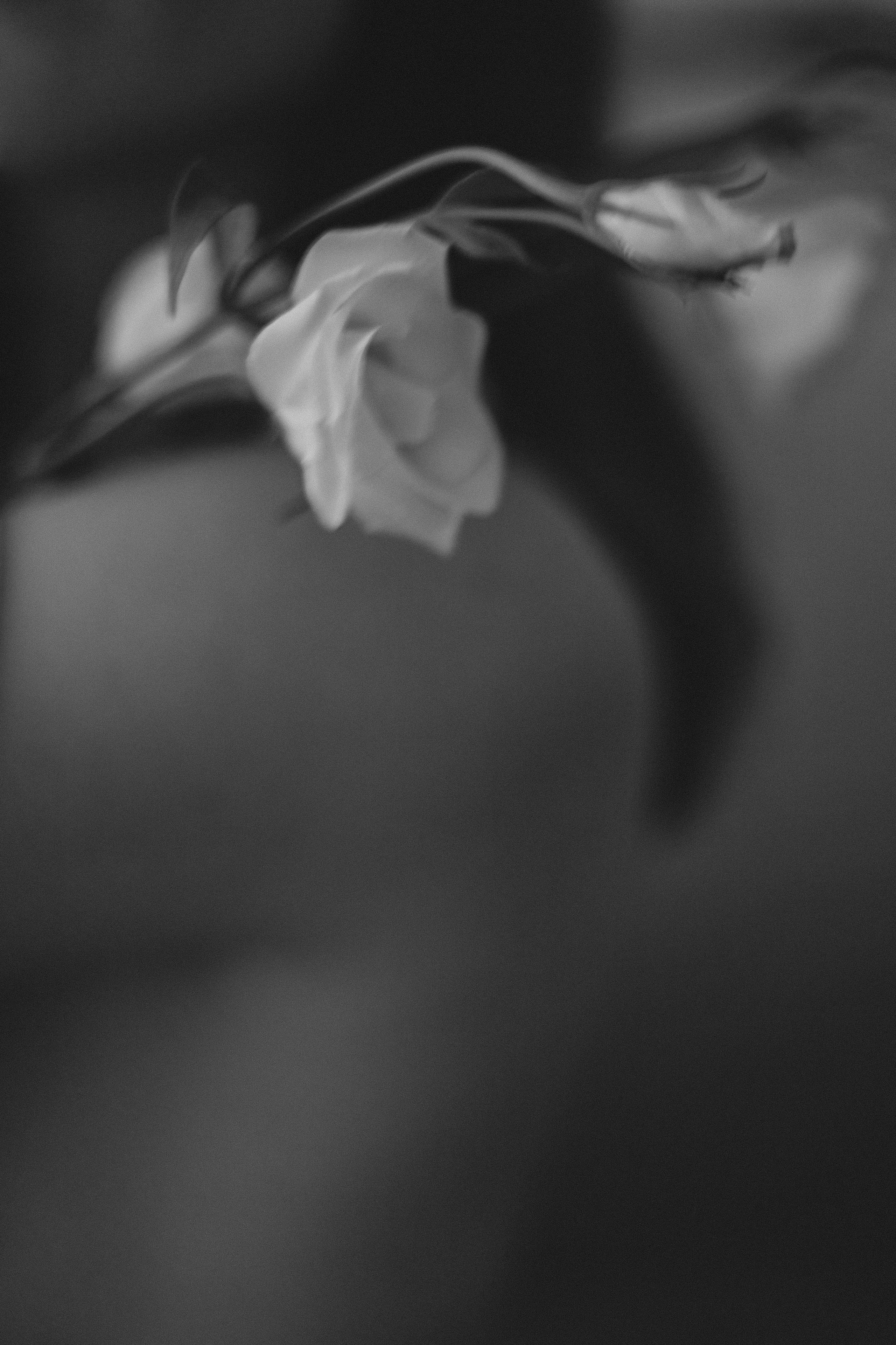 София. Семейный и свадебный фотограф в Краснодаре Елизавета Замаева