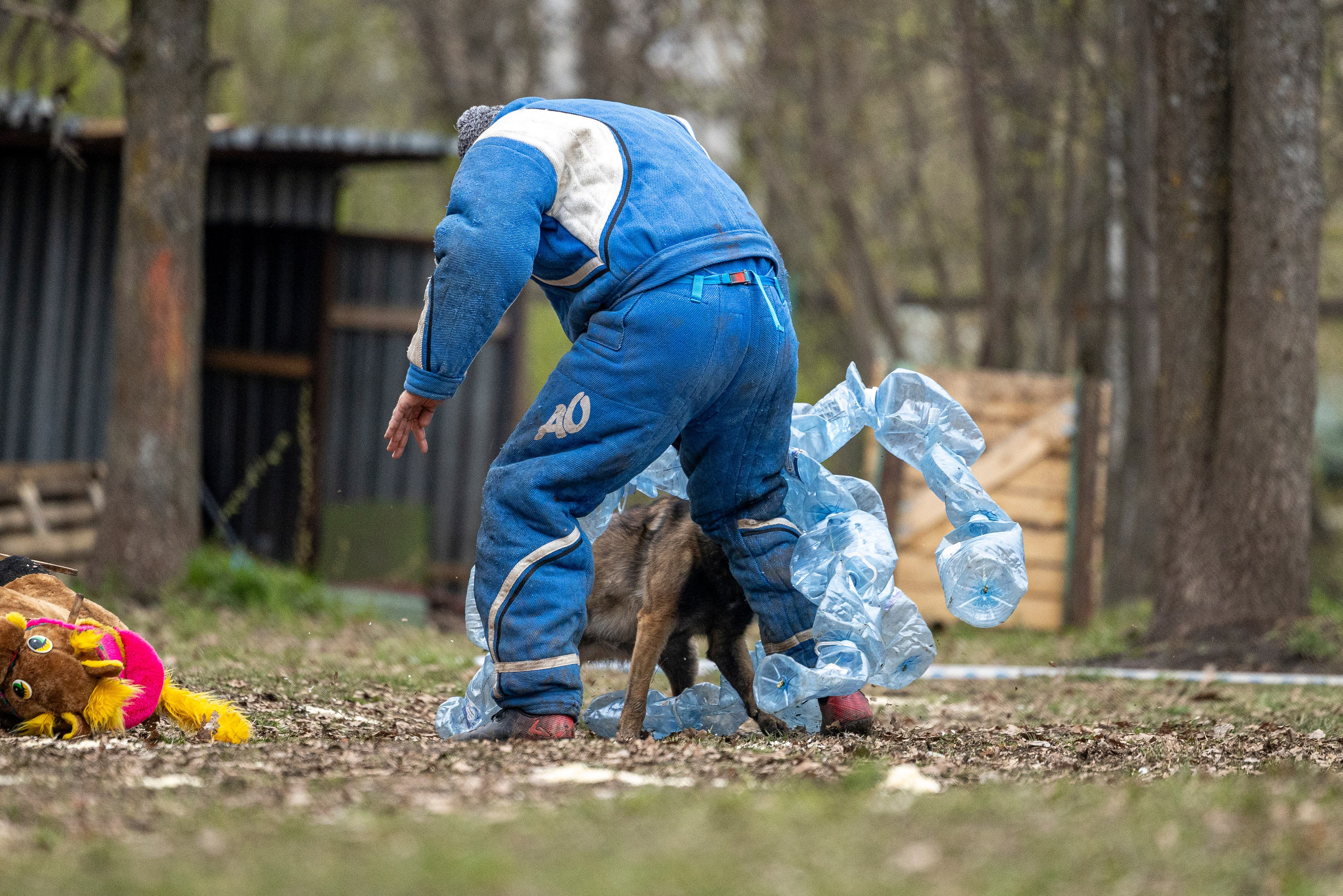 Квалификационные состязания по мондьорингу г. Вологда 11.05.24. Фотограф-анималист Анна Маринич