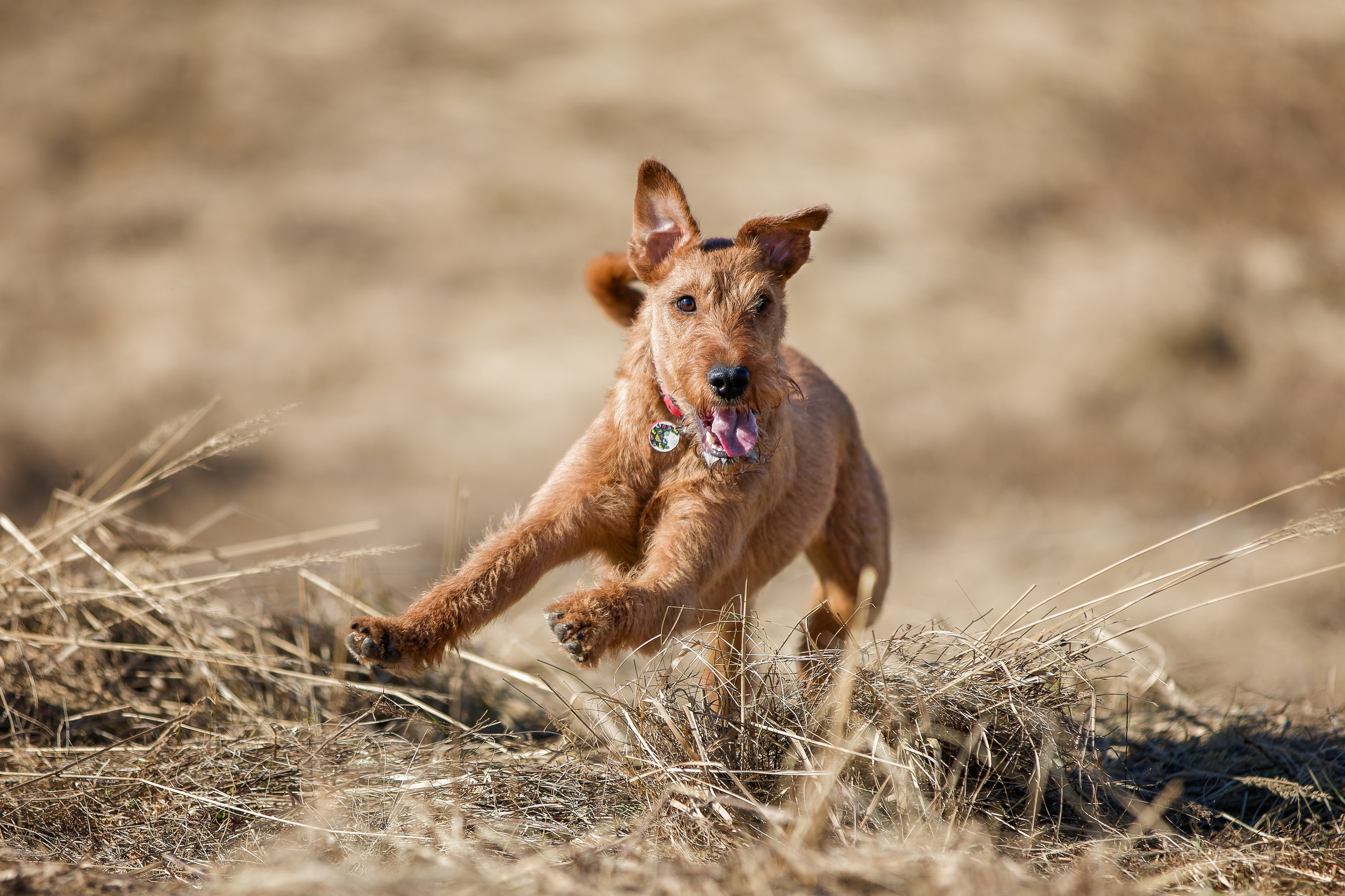 Lure Club 2026. Irenephoto.ru