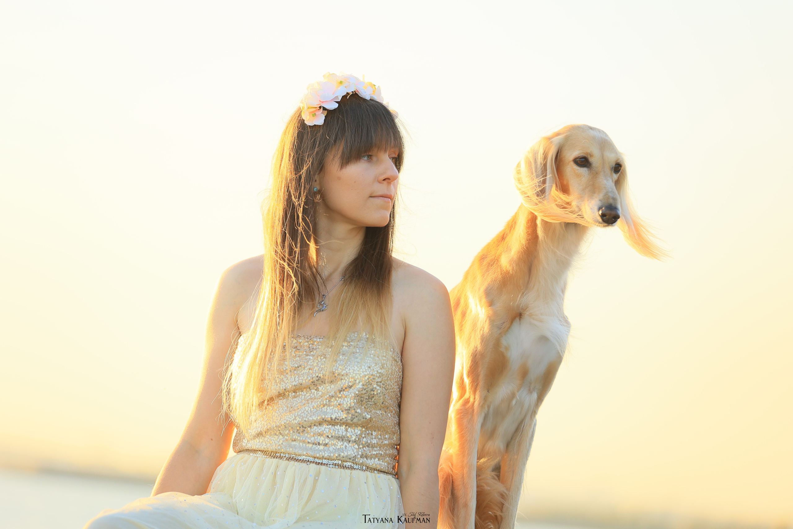 Салюки, фотография салюки, красивая собака, фотограф анималист, фотокурс Анималистика, научиться фотографировать собак, фотограф Новосибирск