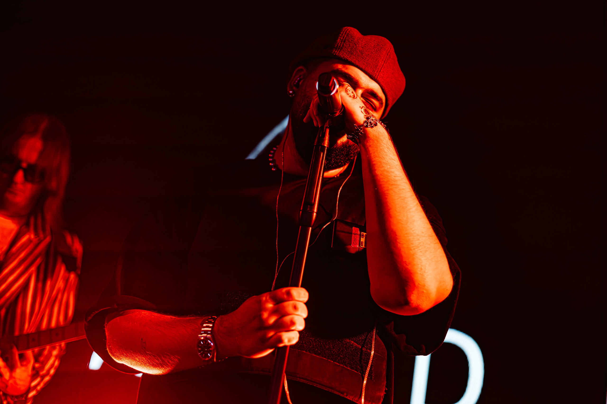 Чайка_на_пляже_Андро_Ялта_24.08.2024. Аминов Руслан | Фотограф