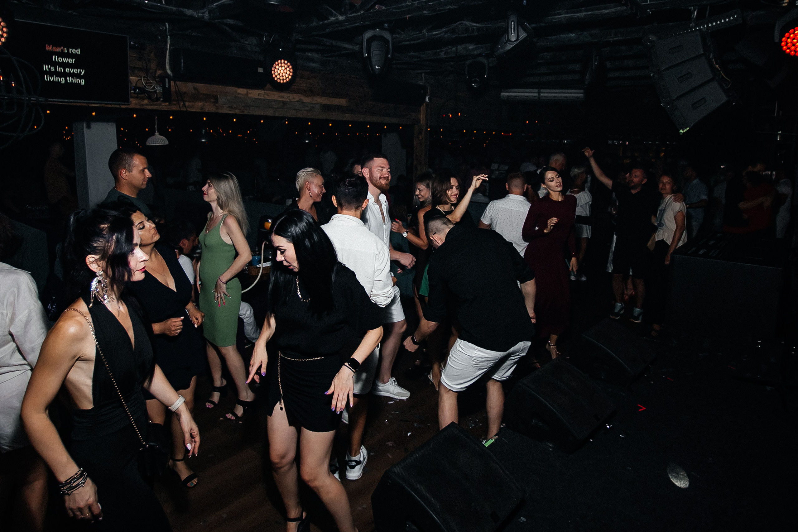 Чайка_на_пляже_Ялта_25.07.2024. Аминов Руслан | Фотограф