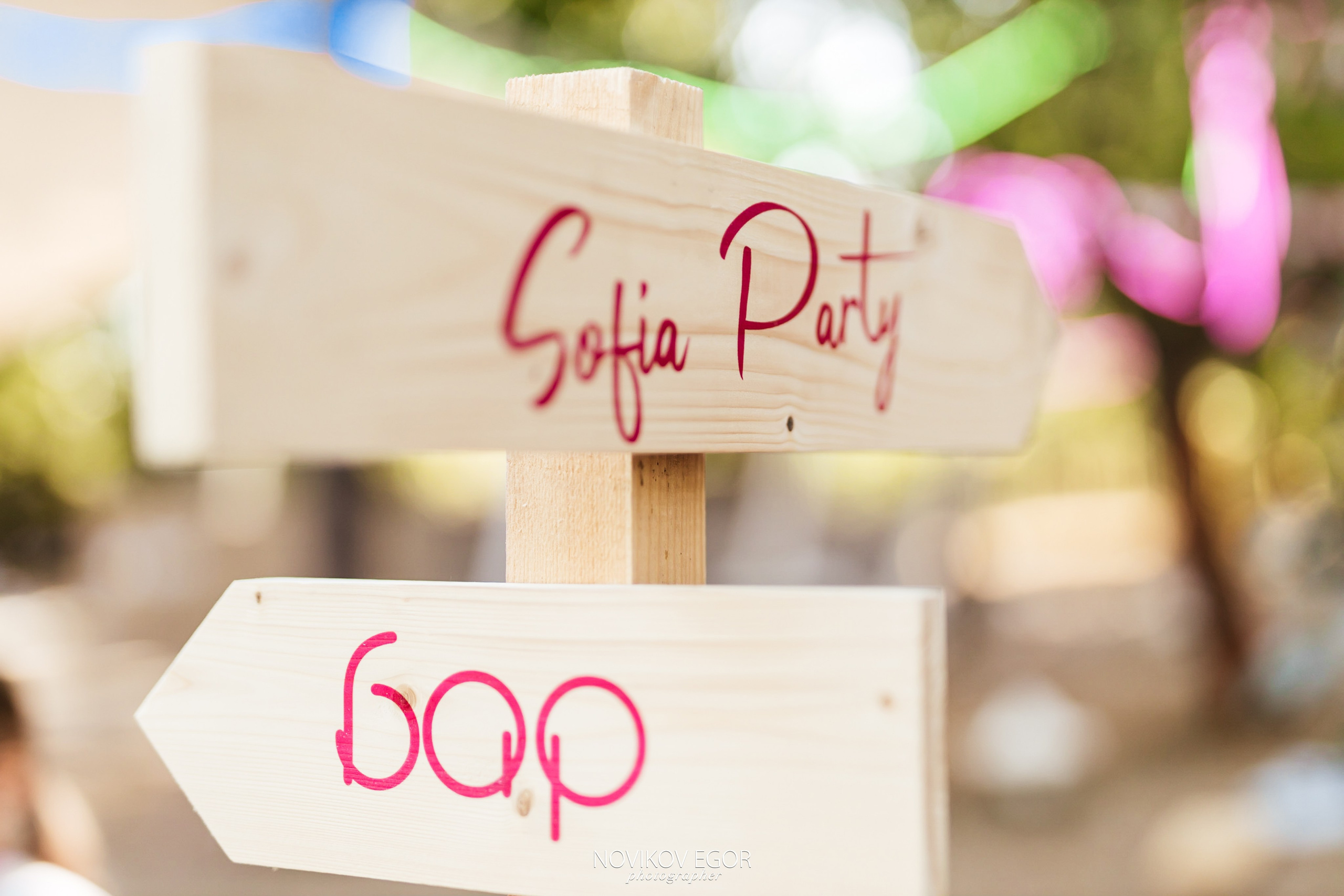 День Рождение Софии. Фотограф Ростов-на-Дону