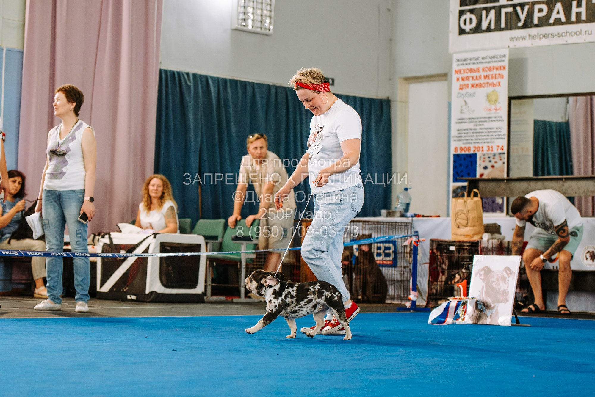 Национальная выставка собак всех пород ранга САС-IKU «Кубок Красноярск. Фотограф Диана Оленина Красноярск / Братск