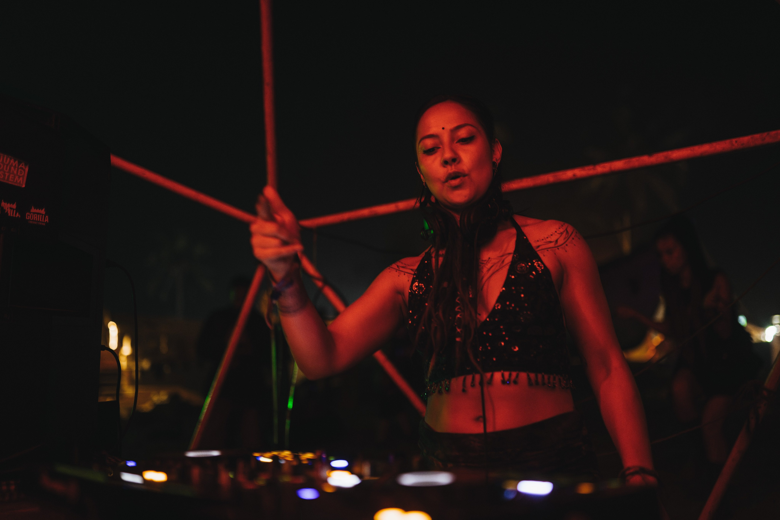 MIR Party 10.02.2026. Твой фотограф — Полосатый кот