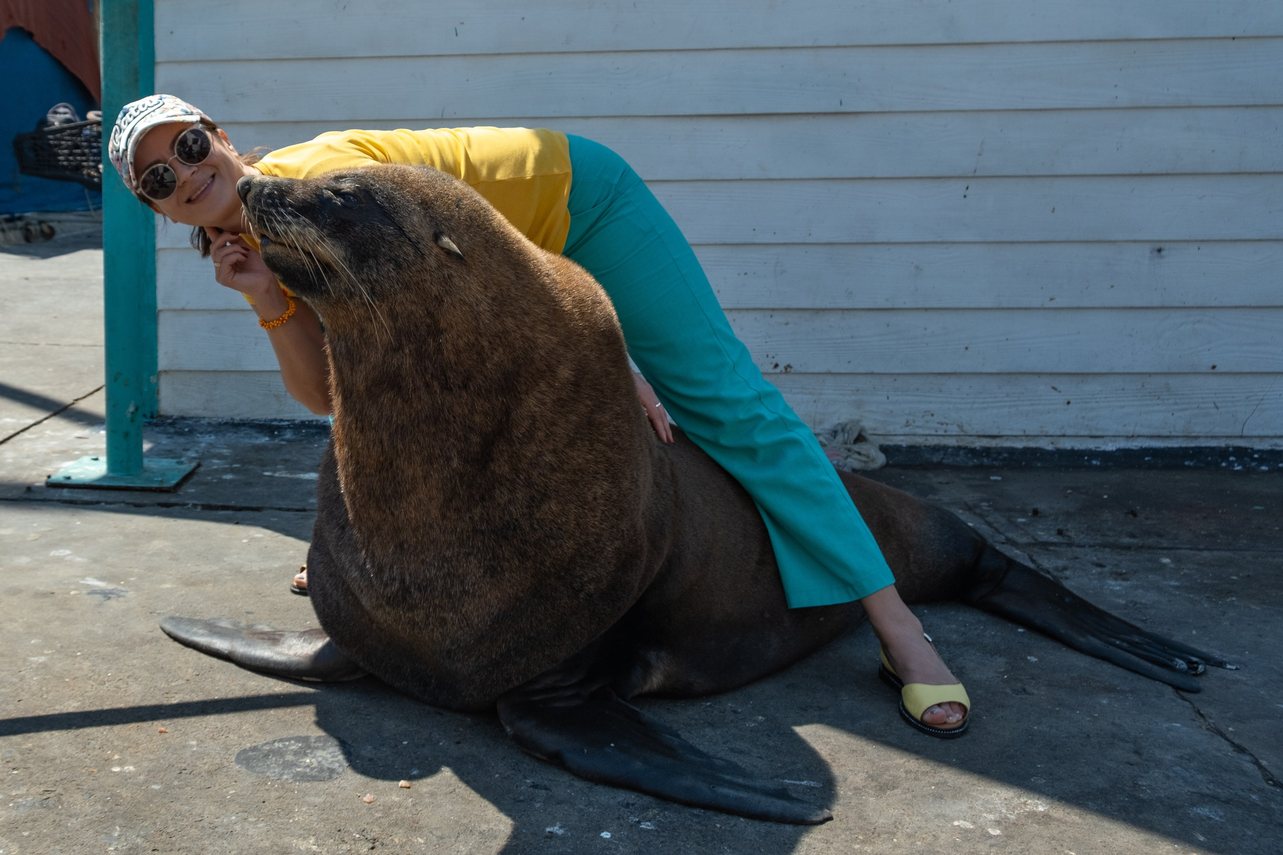 Морские котики и закат. Фотографии из путешествий