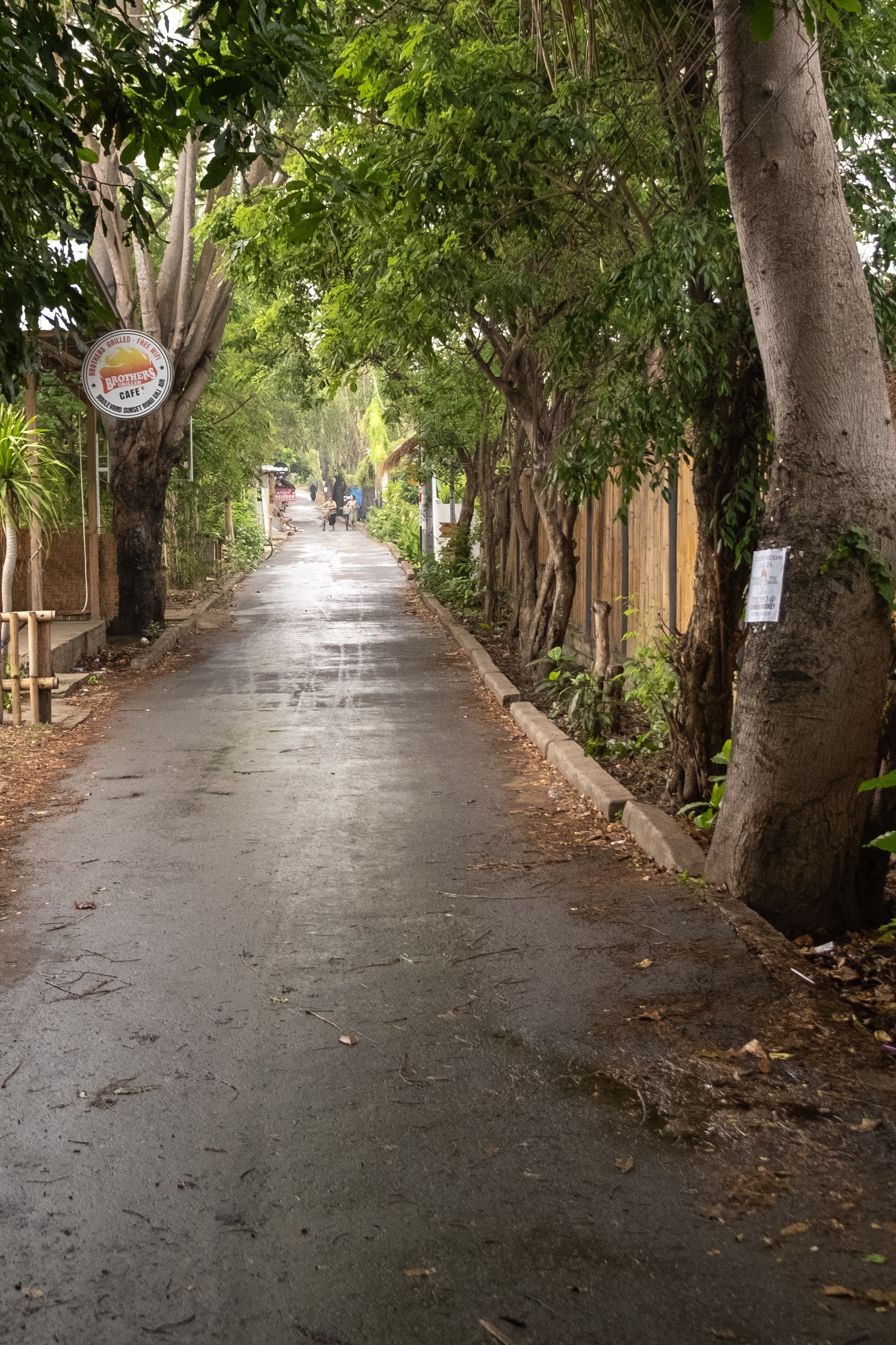 Остров Гили Эйр. Фотографии из путешествий