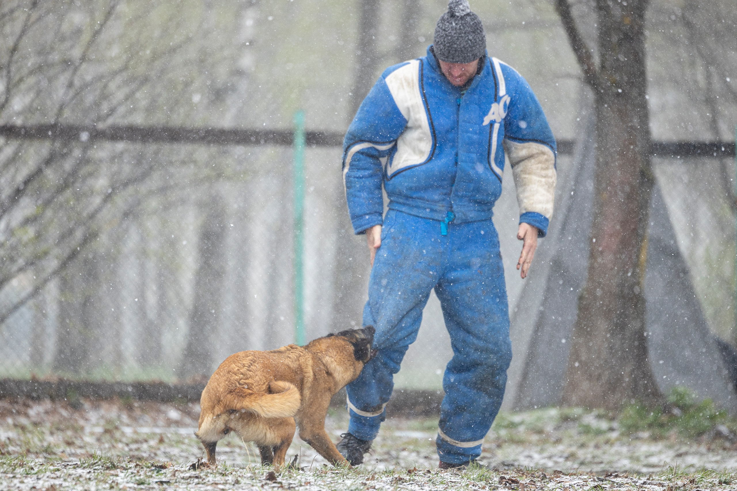 Квалификационные состязания по мондьорингу г. Вологда 11.05.24. Фотограф-анималист Анна Маринич
