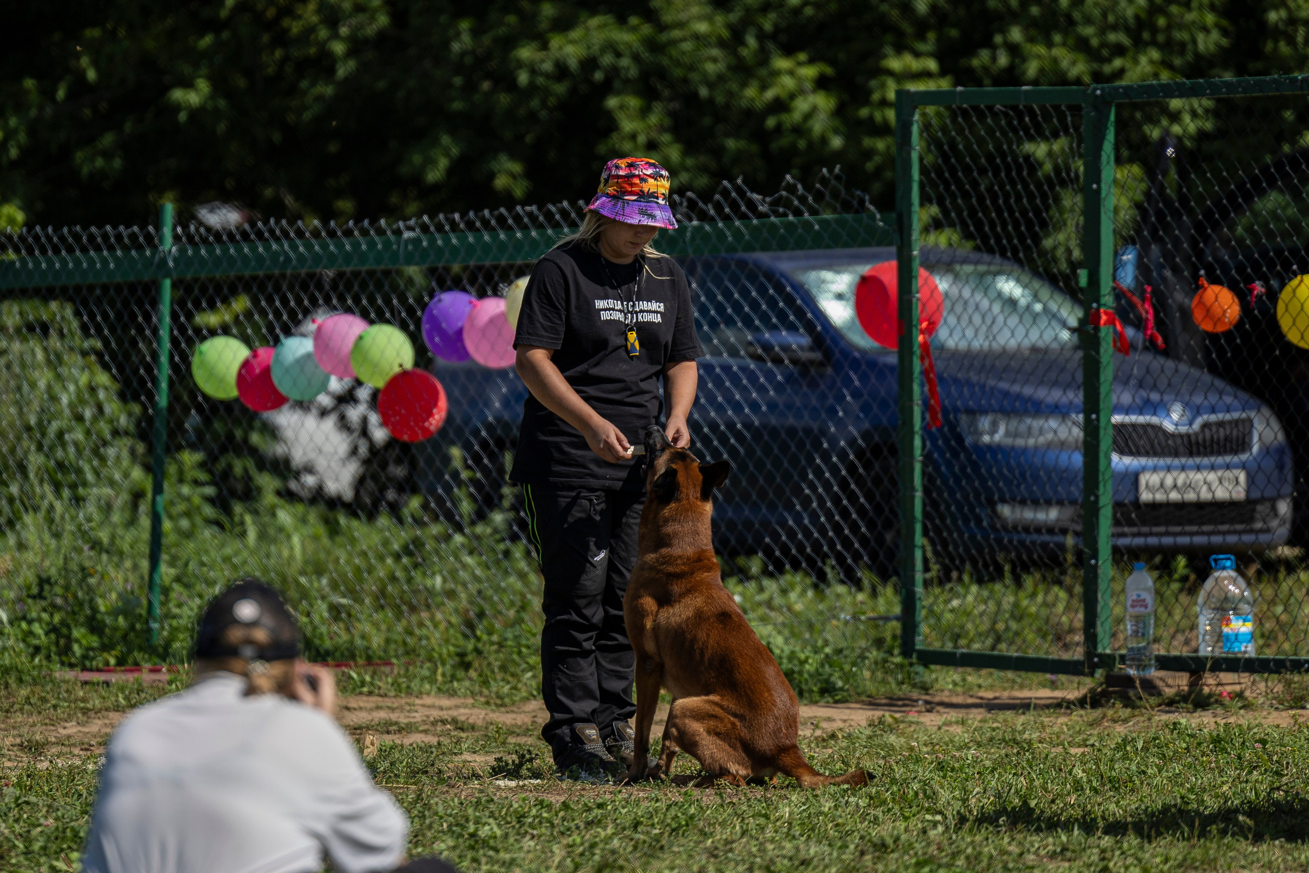 Соревнования по Мондьорингу г. Вологда 10-11.08.2024. Фотограф-анималист Анна Маринич