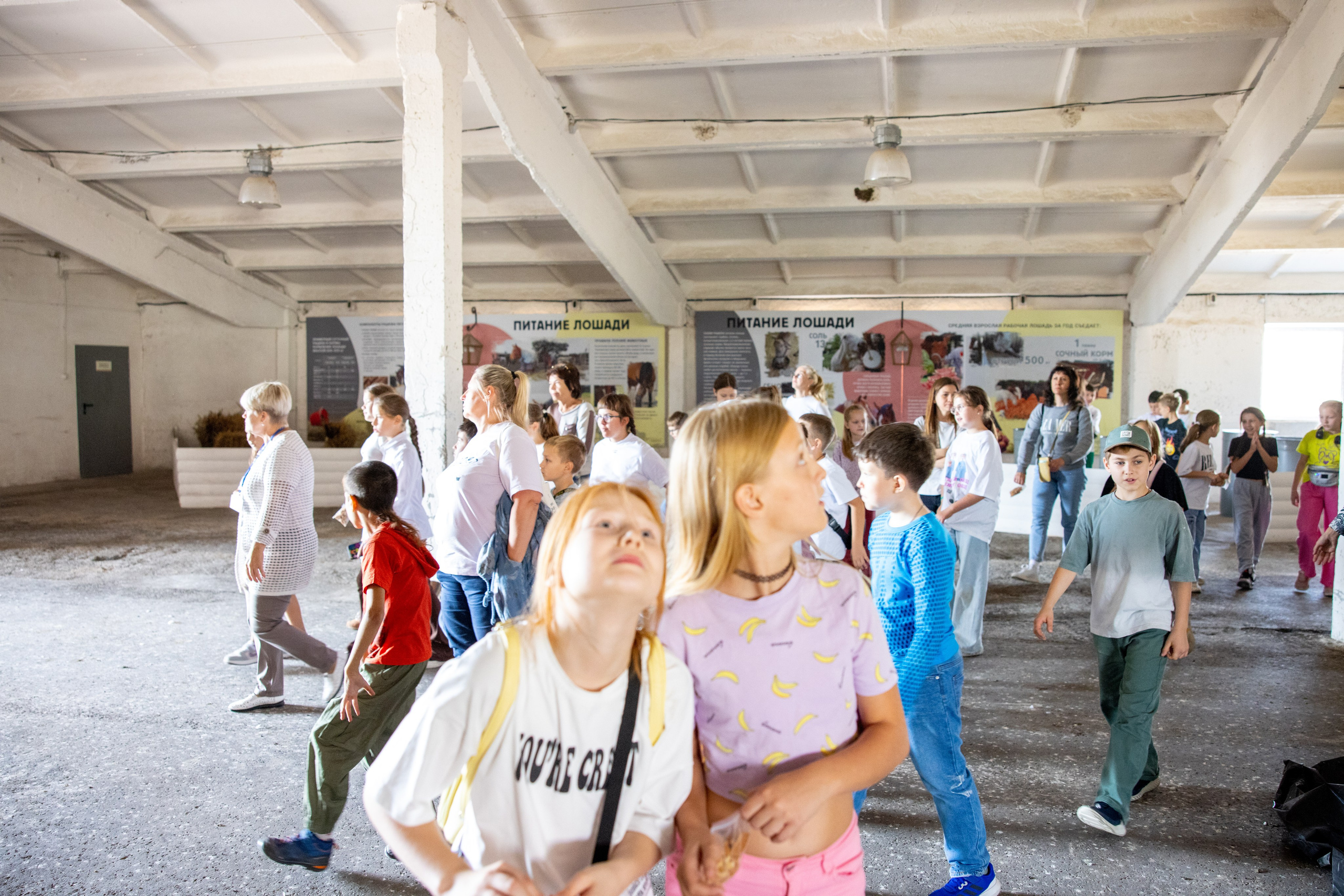 Поездка на поле Кулеково. Фотограф в Туле Крупский АнДРей. Фотостудия «КАДР71» в Туле