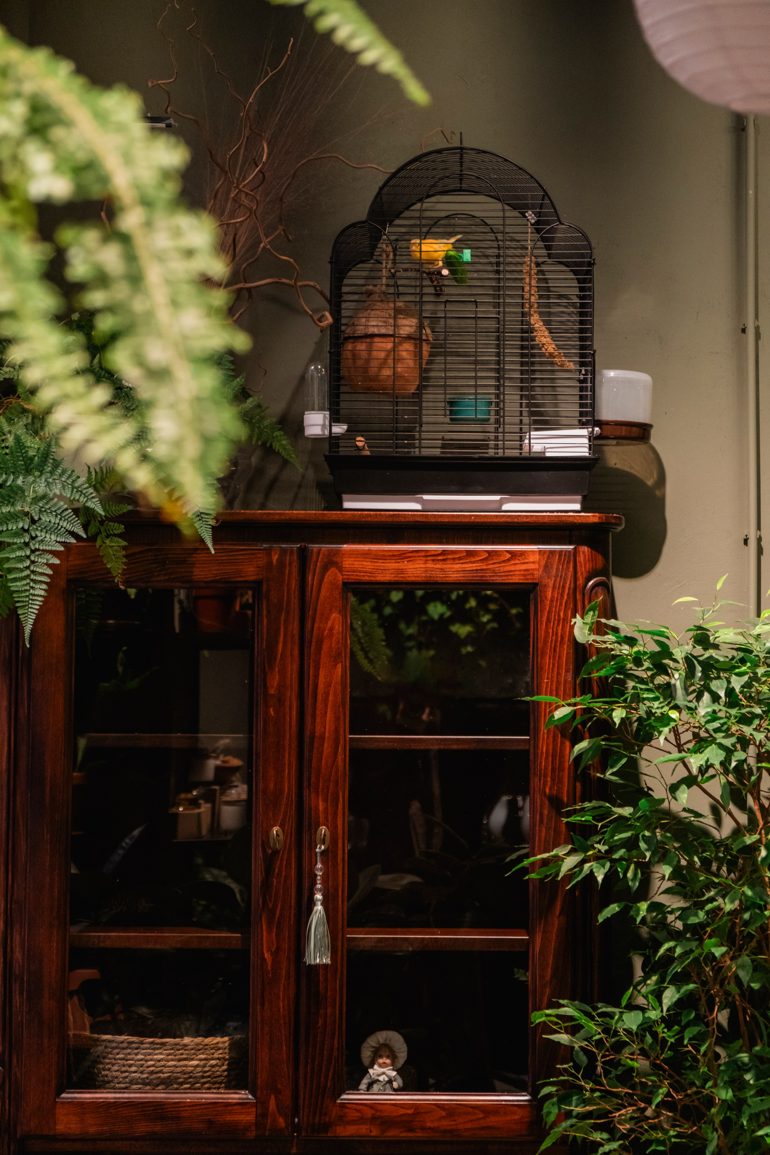 Контент-съемка. Портретный и fashion-фотограф в Санкт-Петербурге Олеся Поле