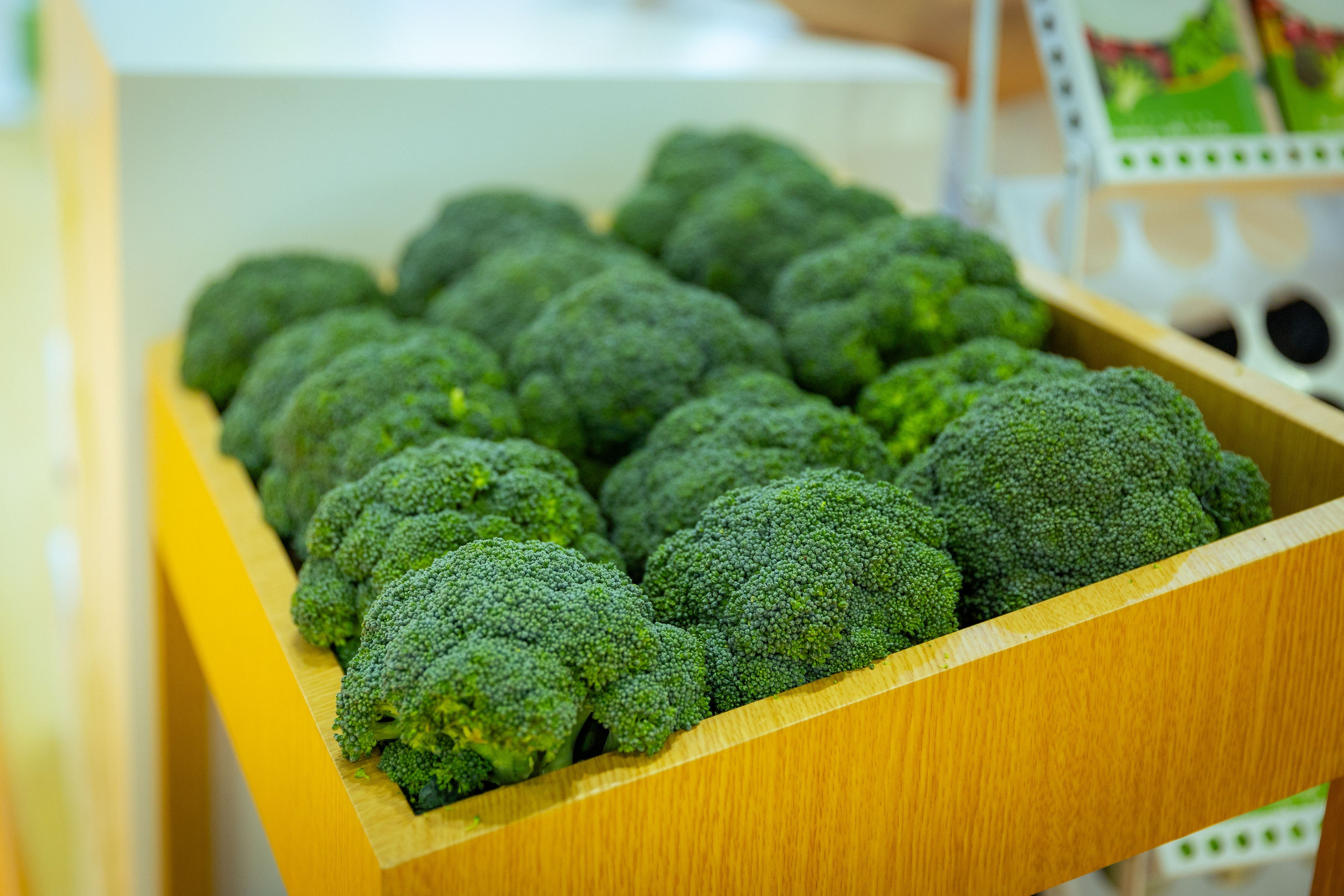 Asia Fruit Logistica [Гонконг 4–6 сентября 2024 г.]. Фотограф Виноградов Константин