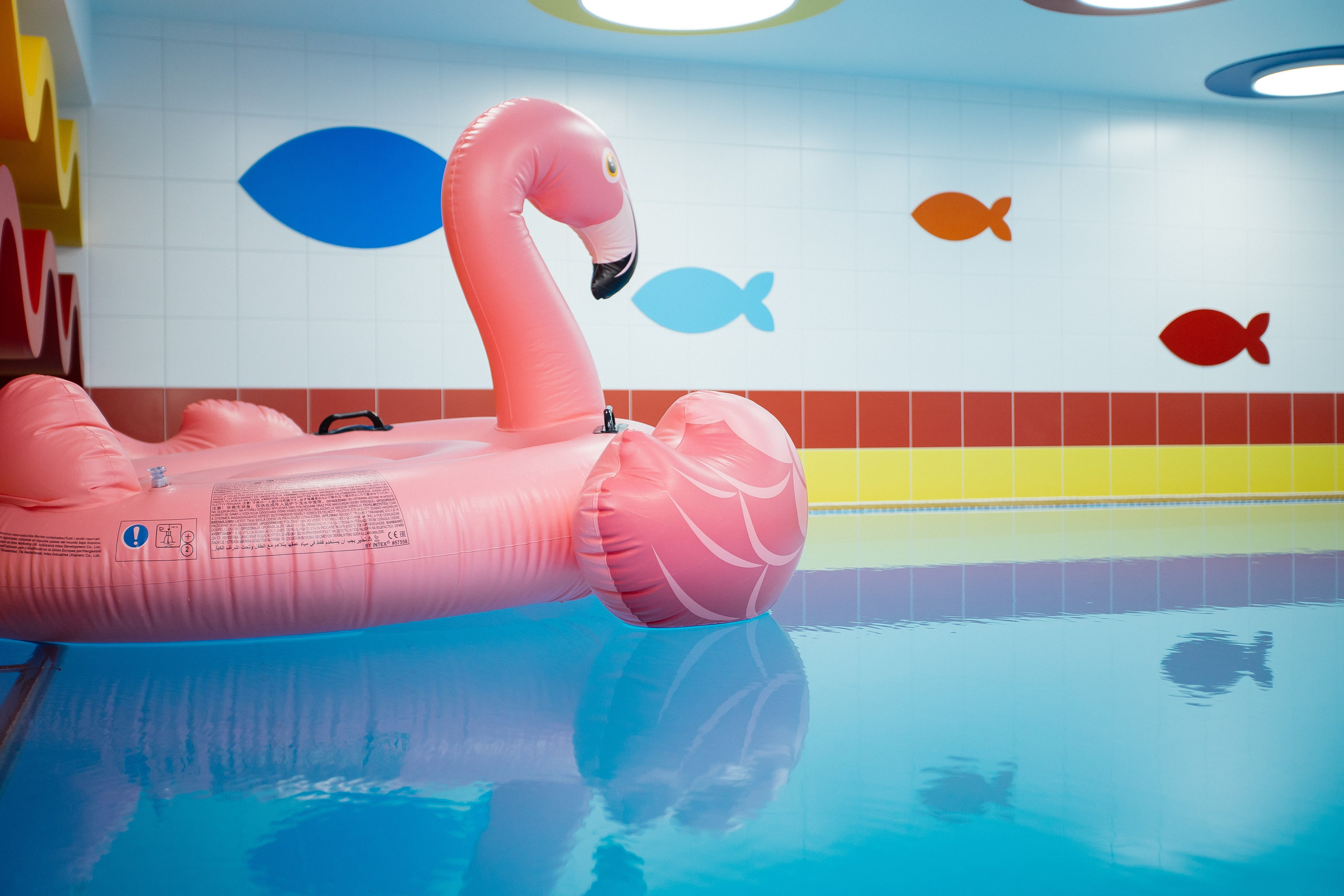 Открытие бассейна. Фотограф в Иркутске