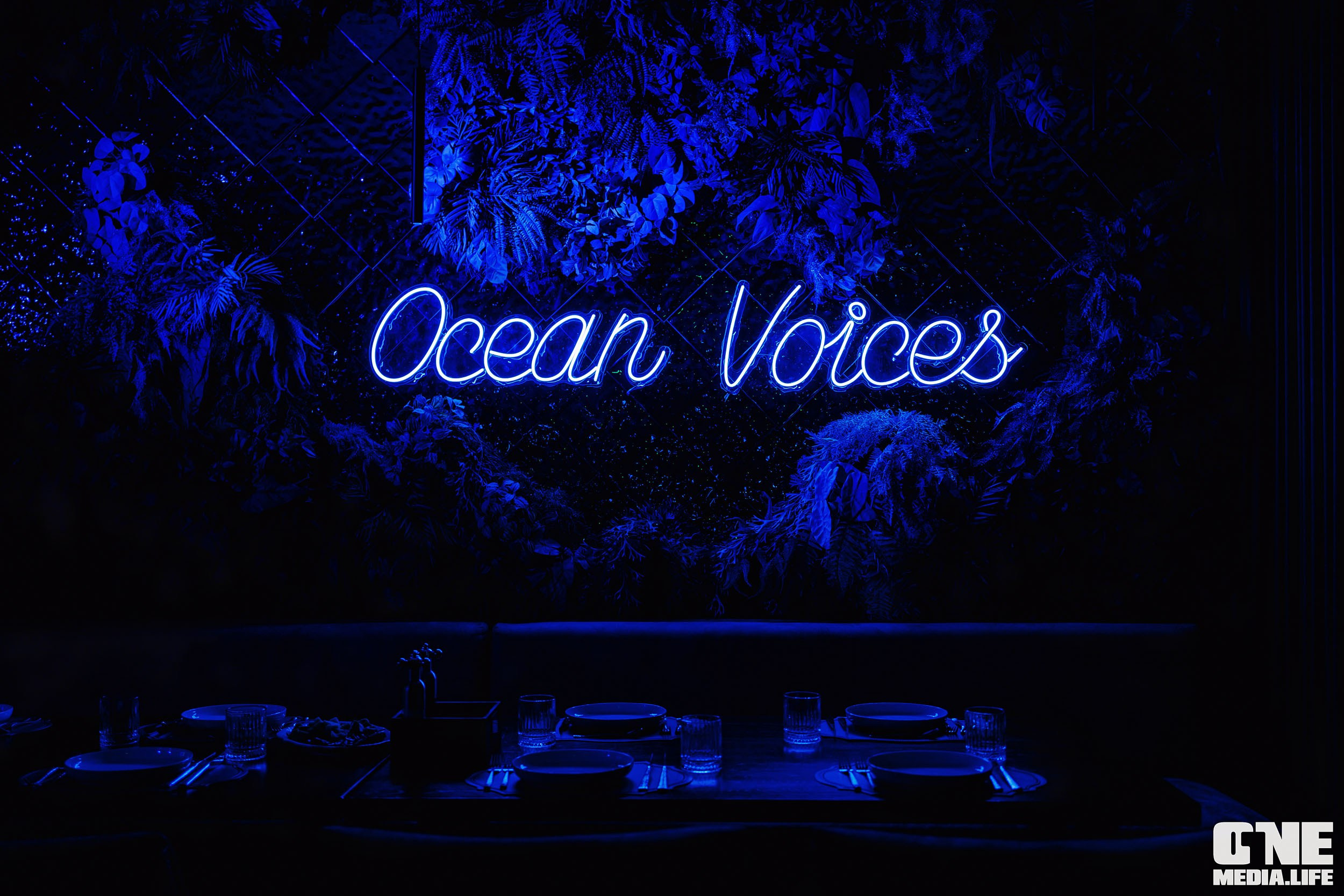 Фоторепортаж из ресторана Океан. One Media Life: фоторепортажи, фотоотчеты с мероприятий и заведений