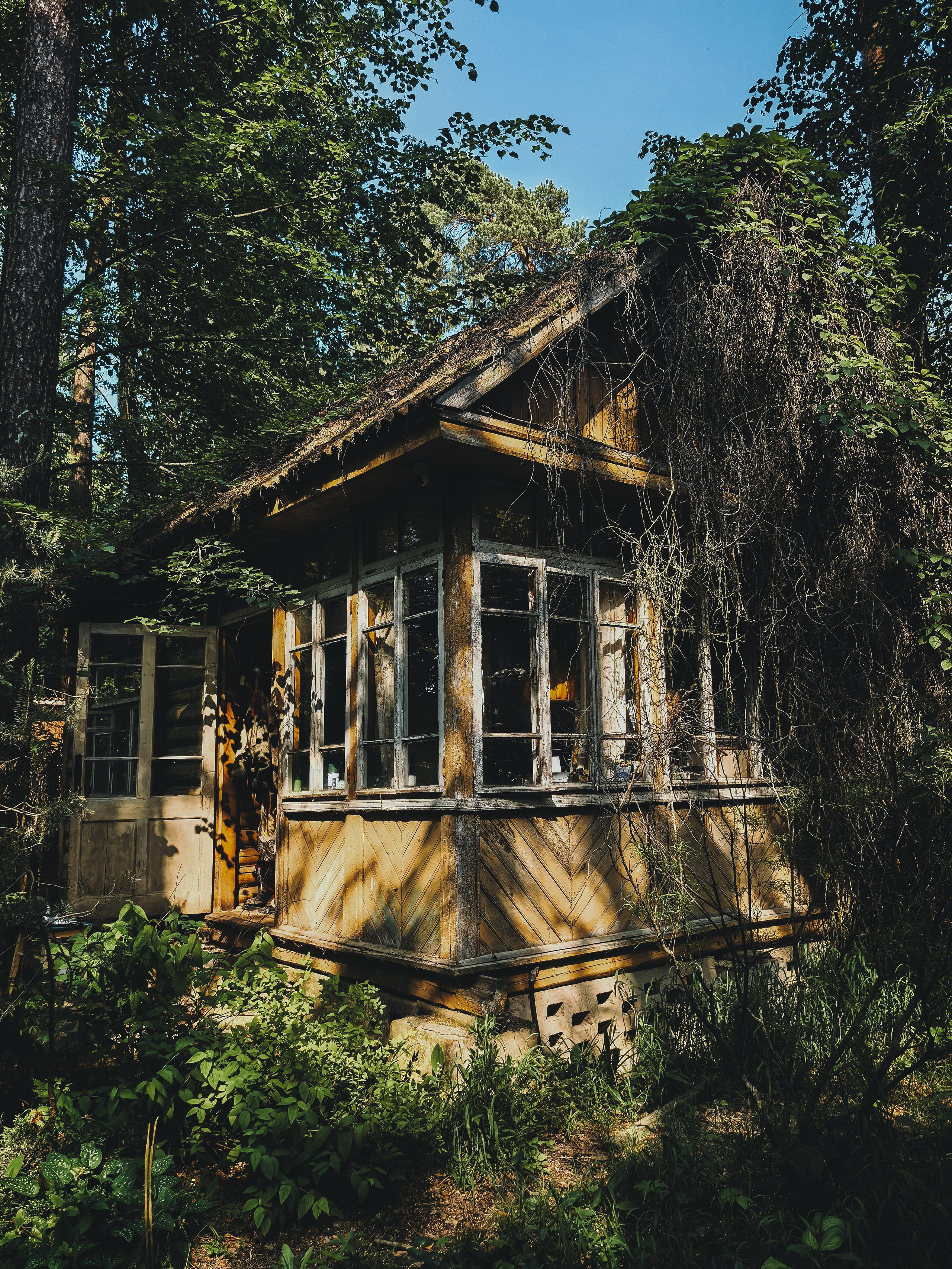 Ваши фотографии. Фотограф анималист Осипчикова Мария