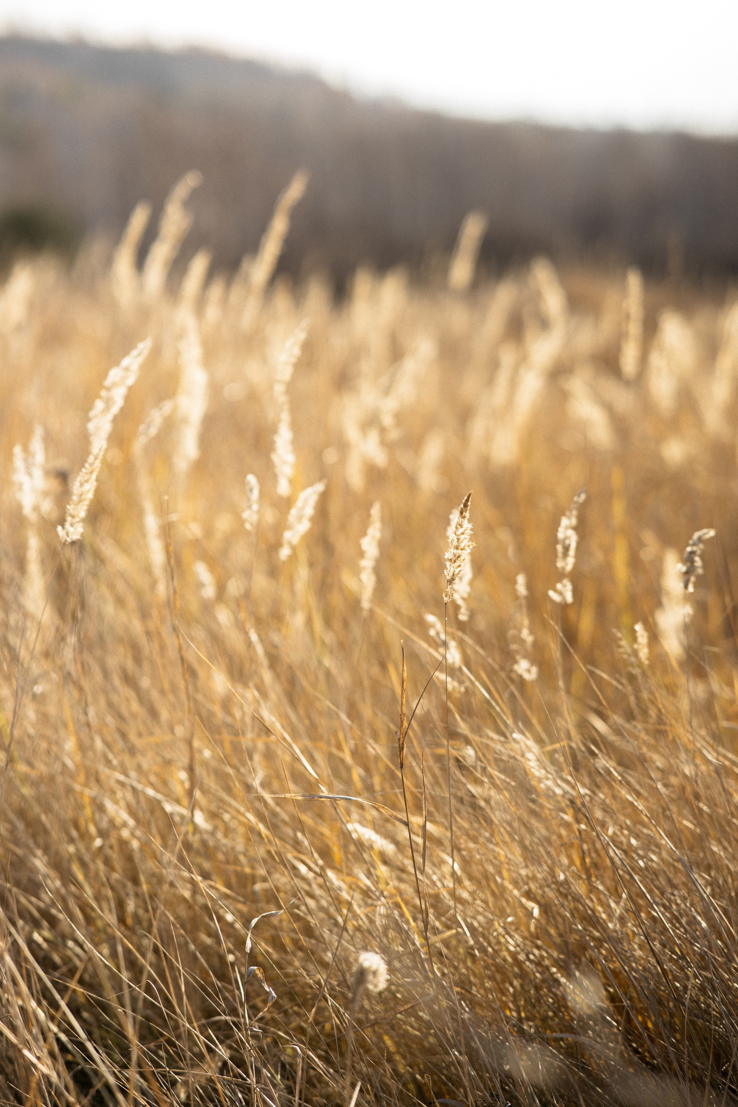 Артём и Алина. Свадебный фотограф Челябинск Зиненко Виктория