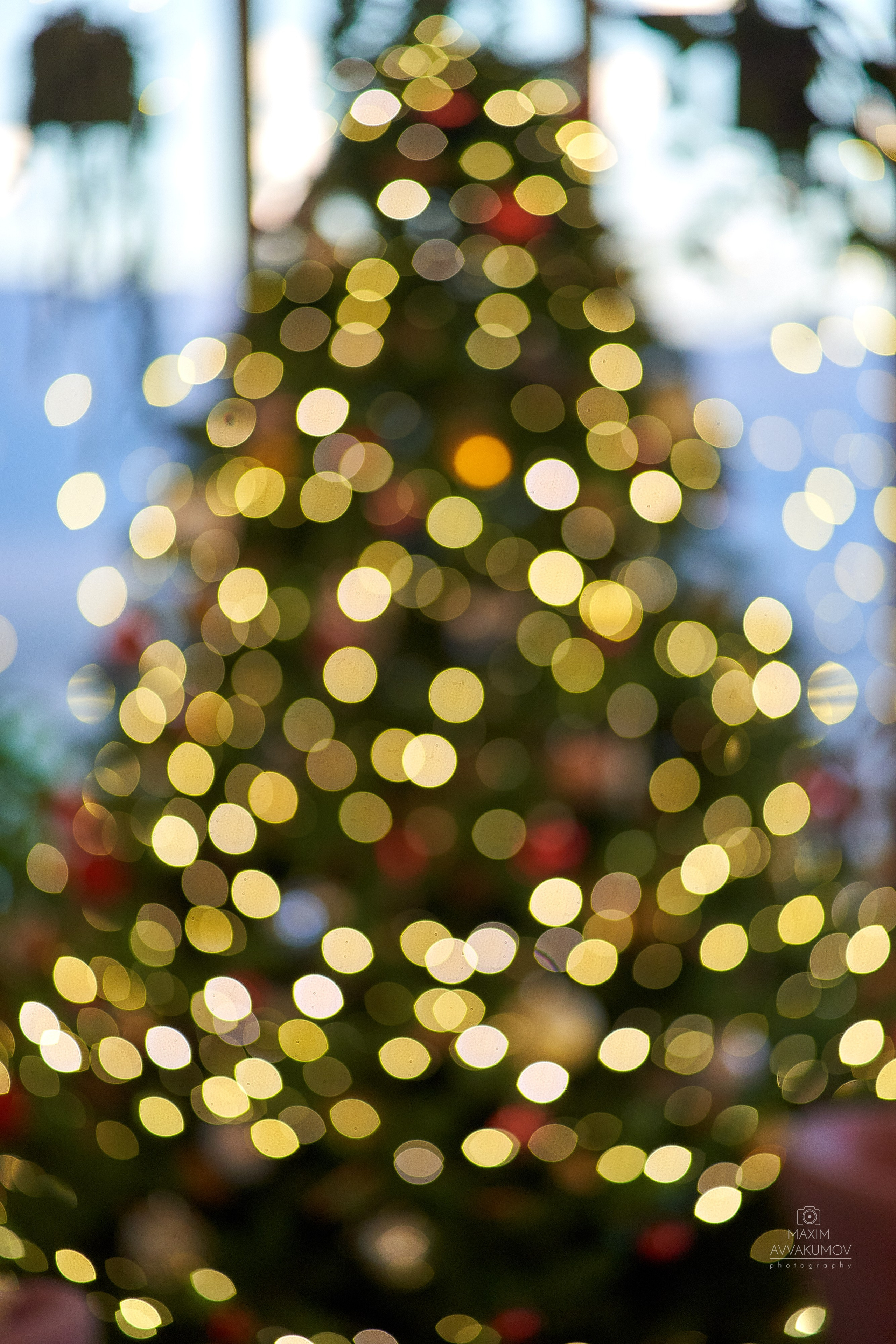 Отзывы клиентов о работе. Портретный и свадебный фотограф в Крыму Аввакумов Максим