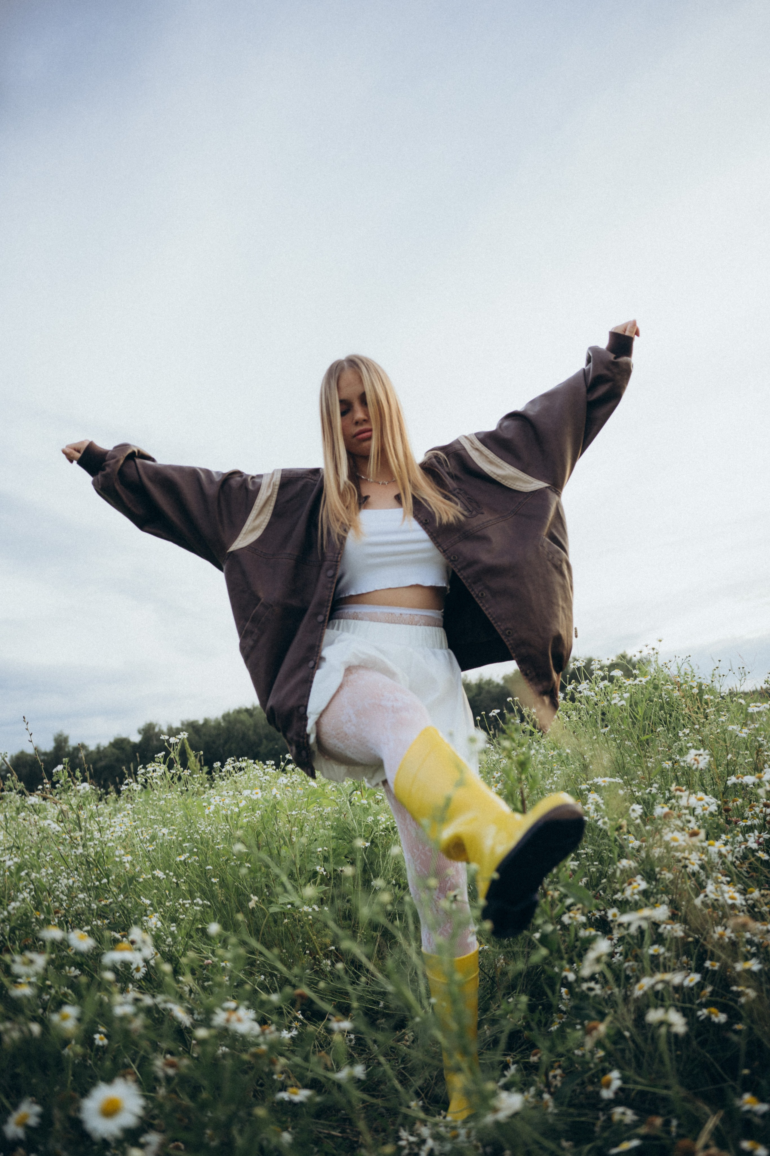 Ромашки. Фотограф Москва