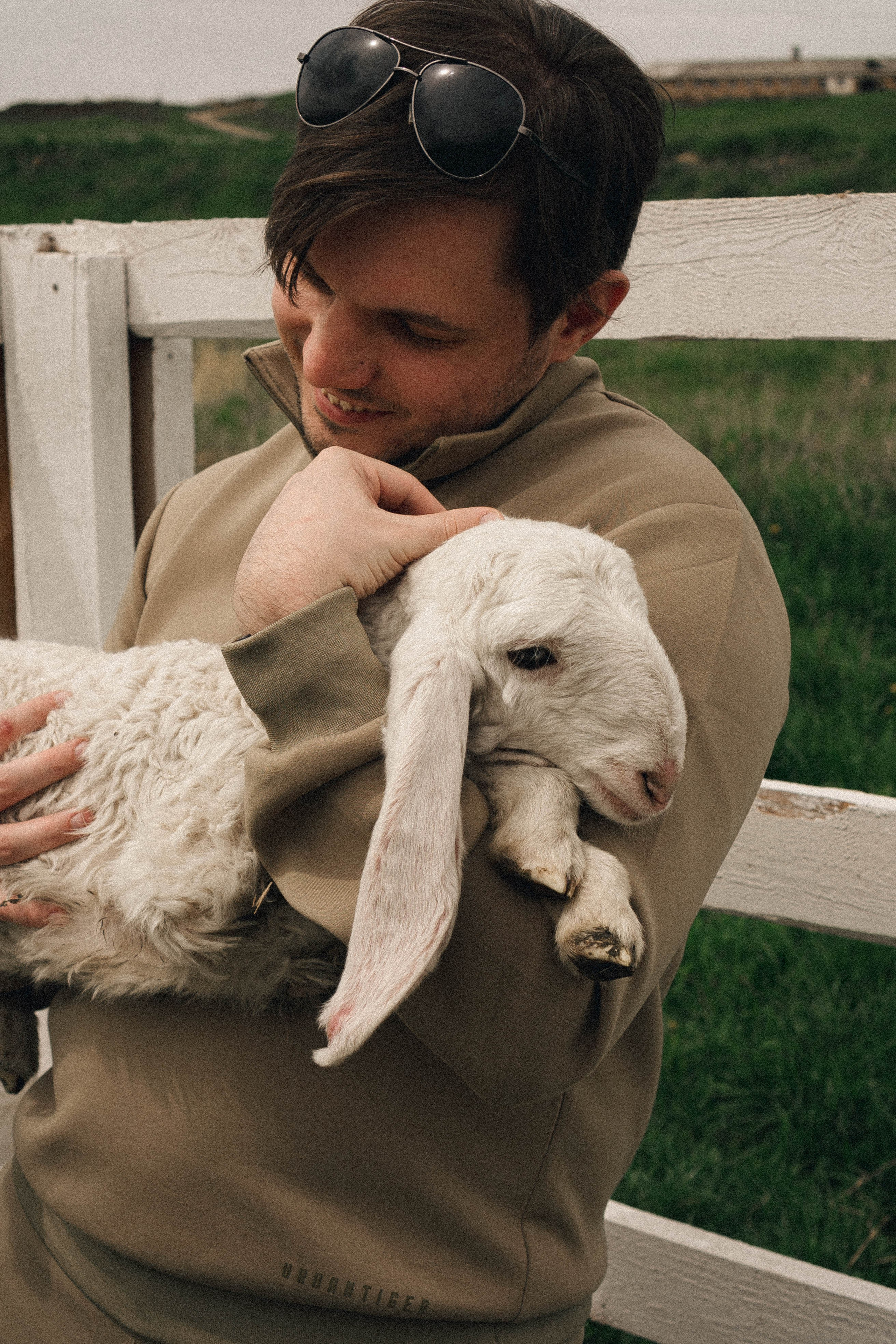 Ферма Альпак. Профессиональный фотограф, Санкт-Петербург — Виктория Богомолова