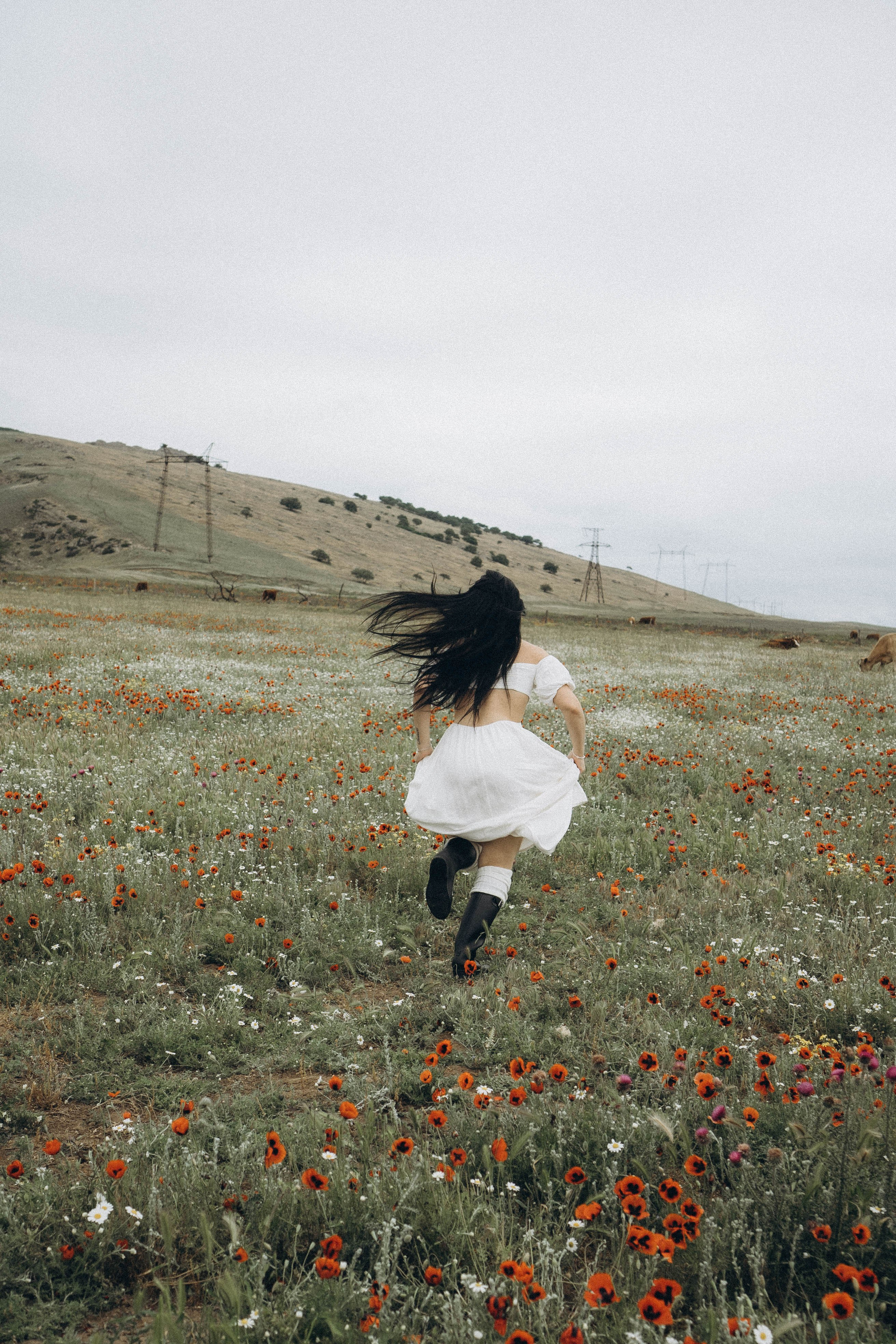 Маковое поле. Профессиональный фотограф, Санкт-Петербург — Виктория Богомолова