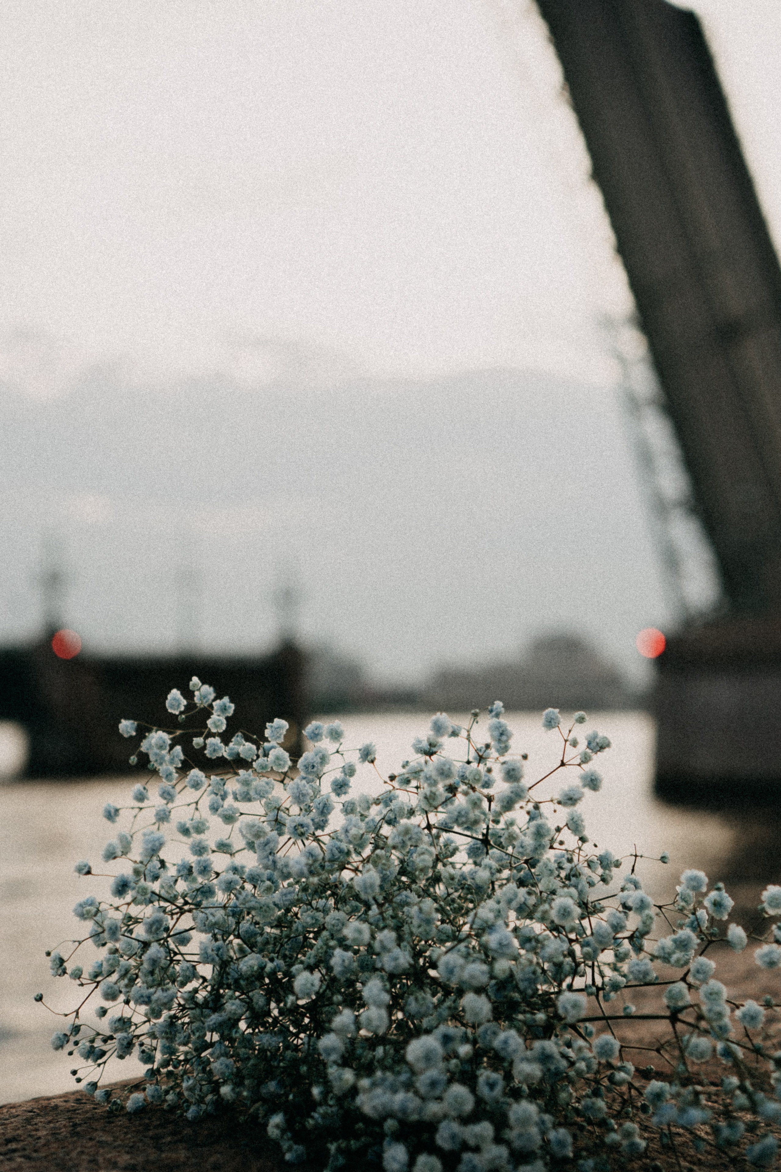 Рассветная. Профессиональный фотограф, Санкт-Петербург — Виктория Богомолова