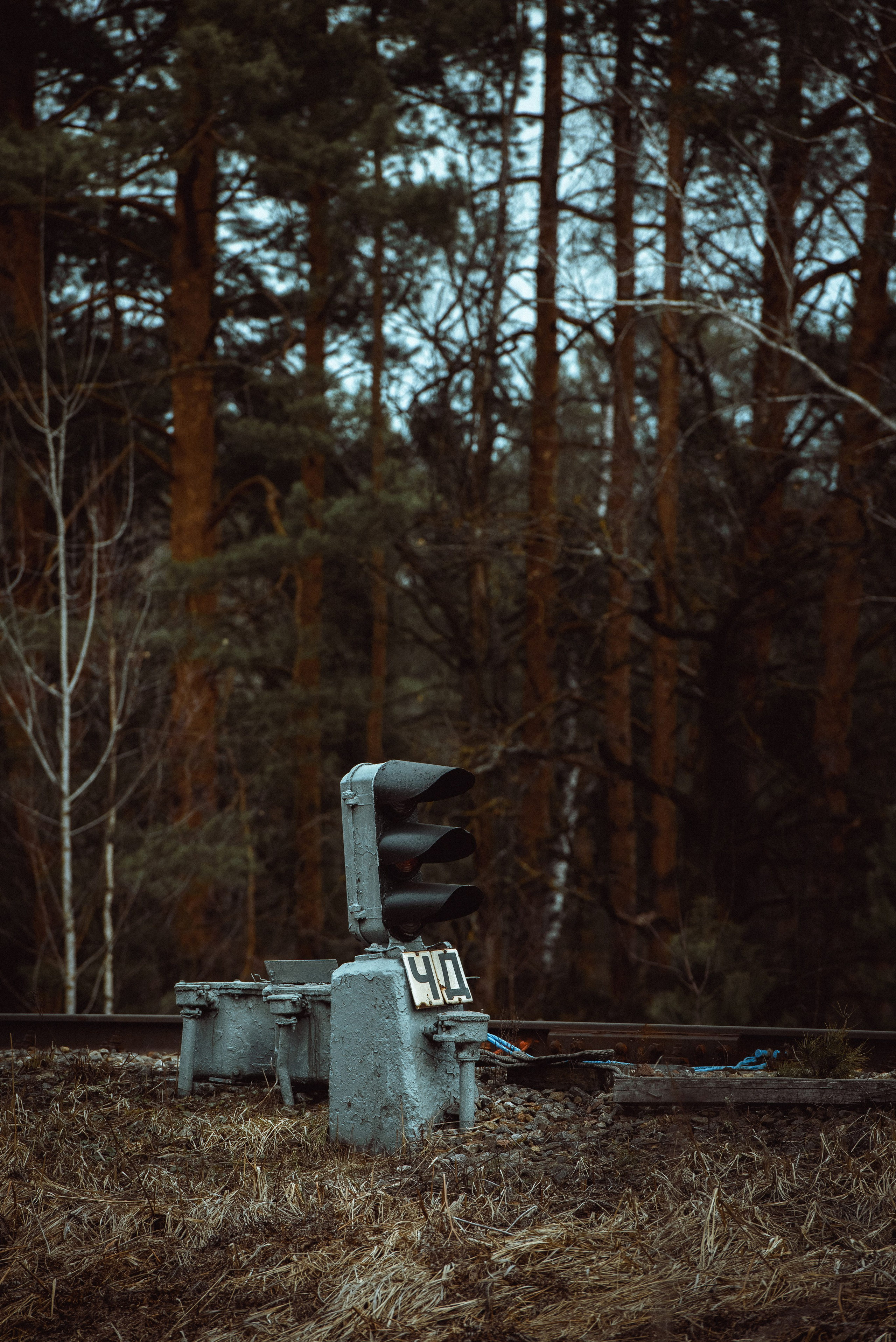 Артём споттер. Римма Гусакова. Выпускные фотокниги. Детские и семейные фотосессии
