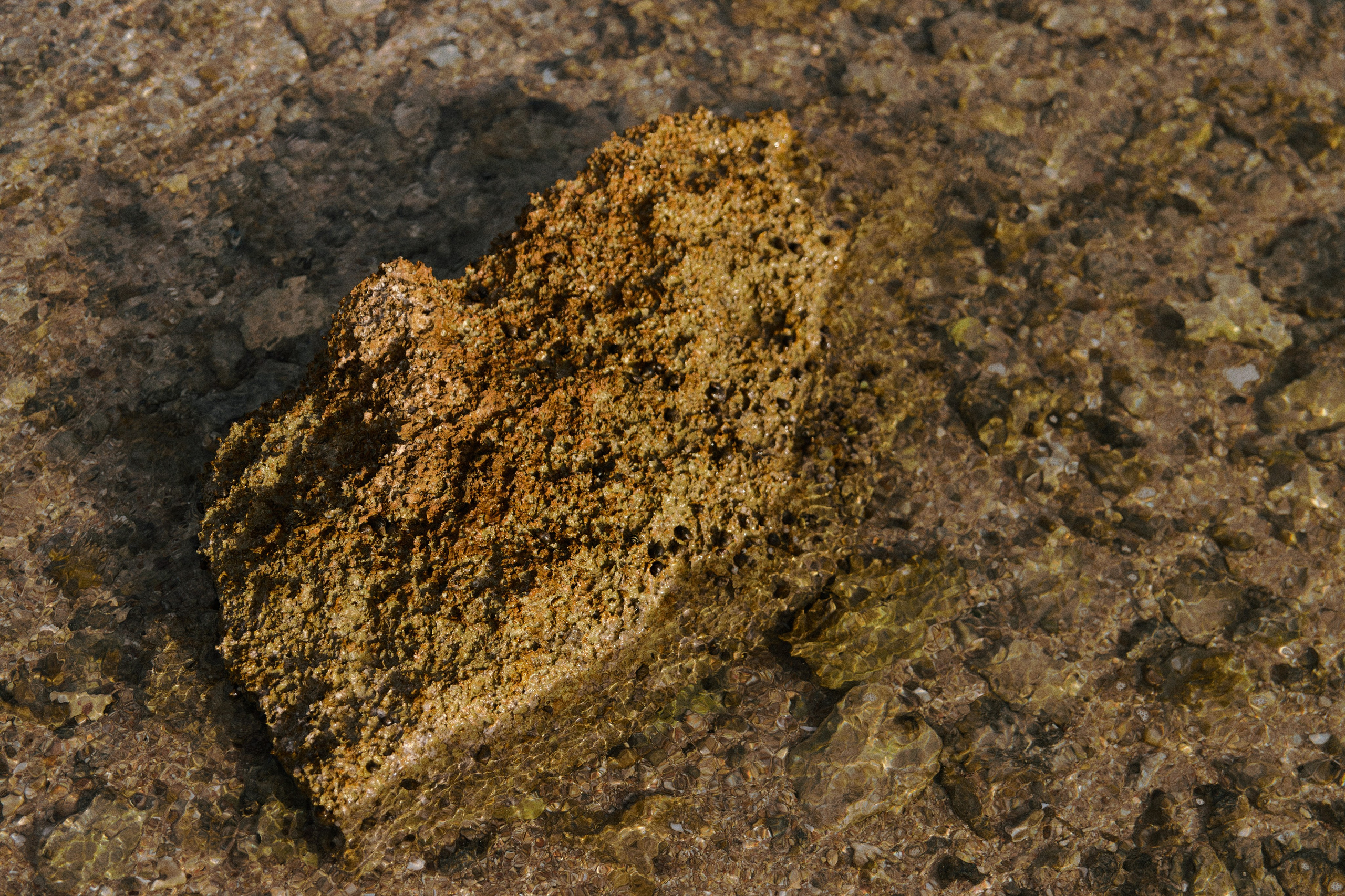 Улица горизонтальная. Jorgis — фотограф в Хургаде / обучение фотографии