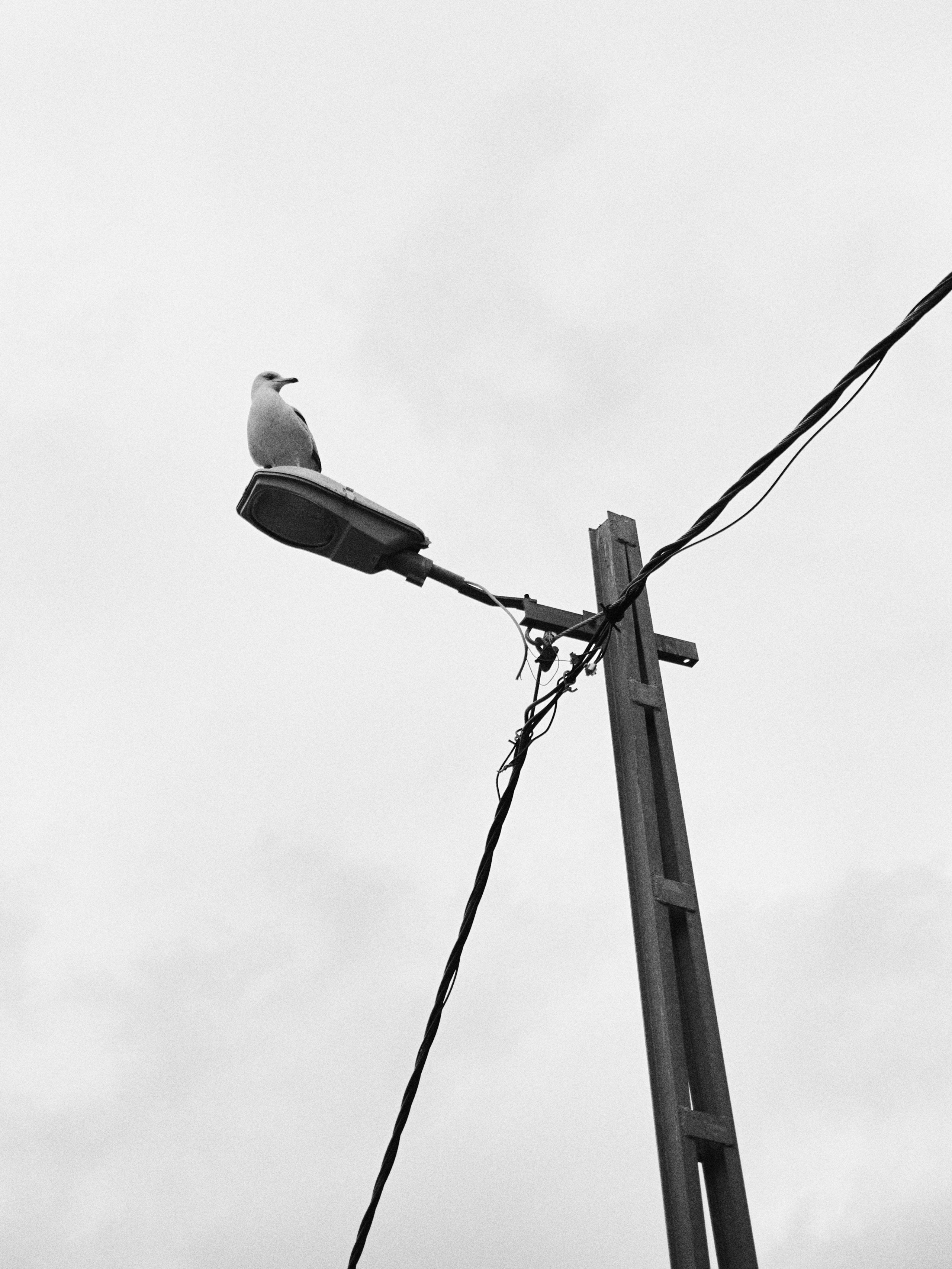 B&W. Jorgis — фотограф в Хургаде / обучение фотографии