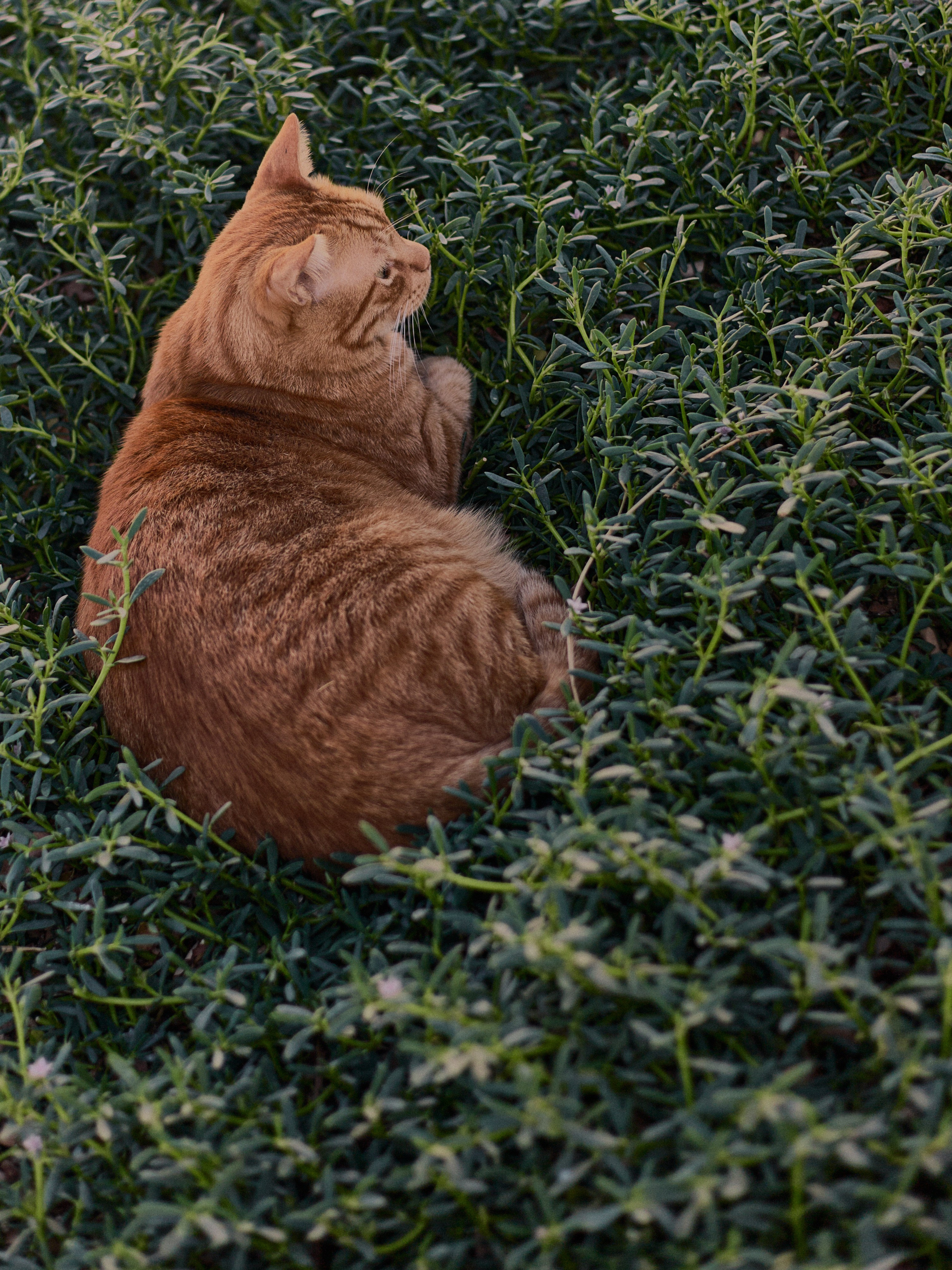 Другое 3. Jorgis Talè — photographer, kind person, teacher of arts and other mag