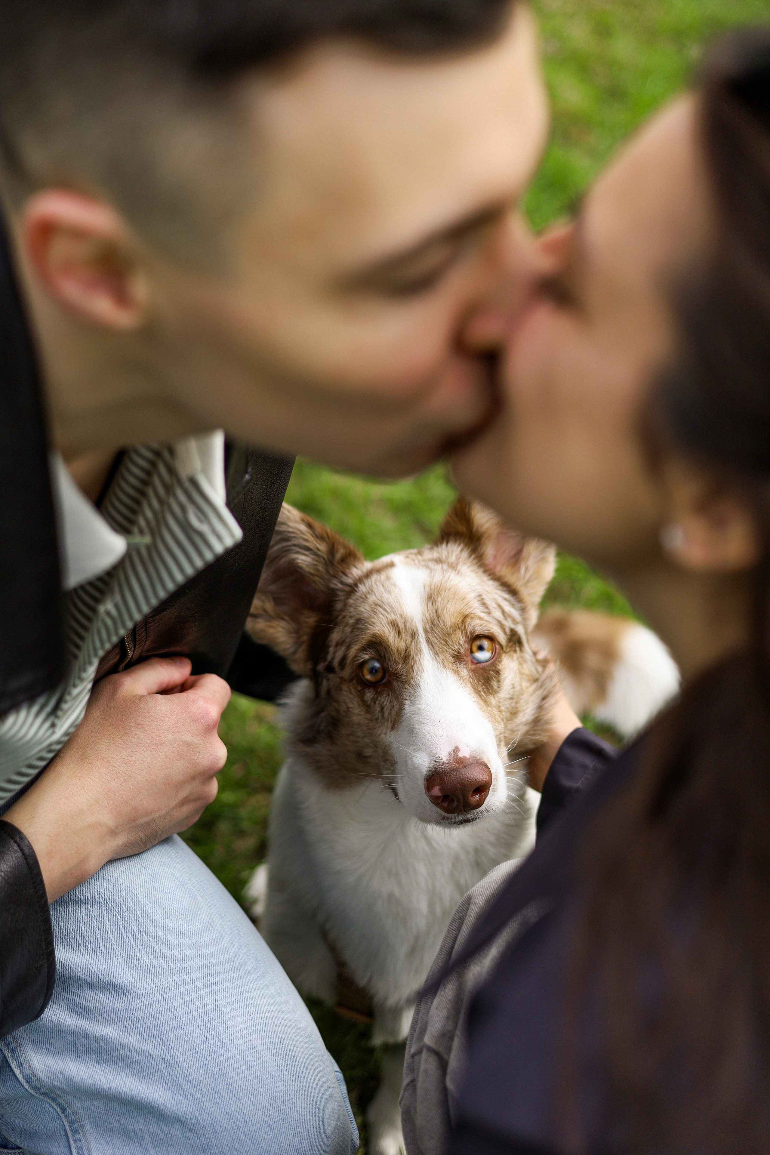 Анджей, Софья и Андрей. Фотограф-анималист Ксения Шевцова|Москва