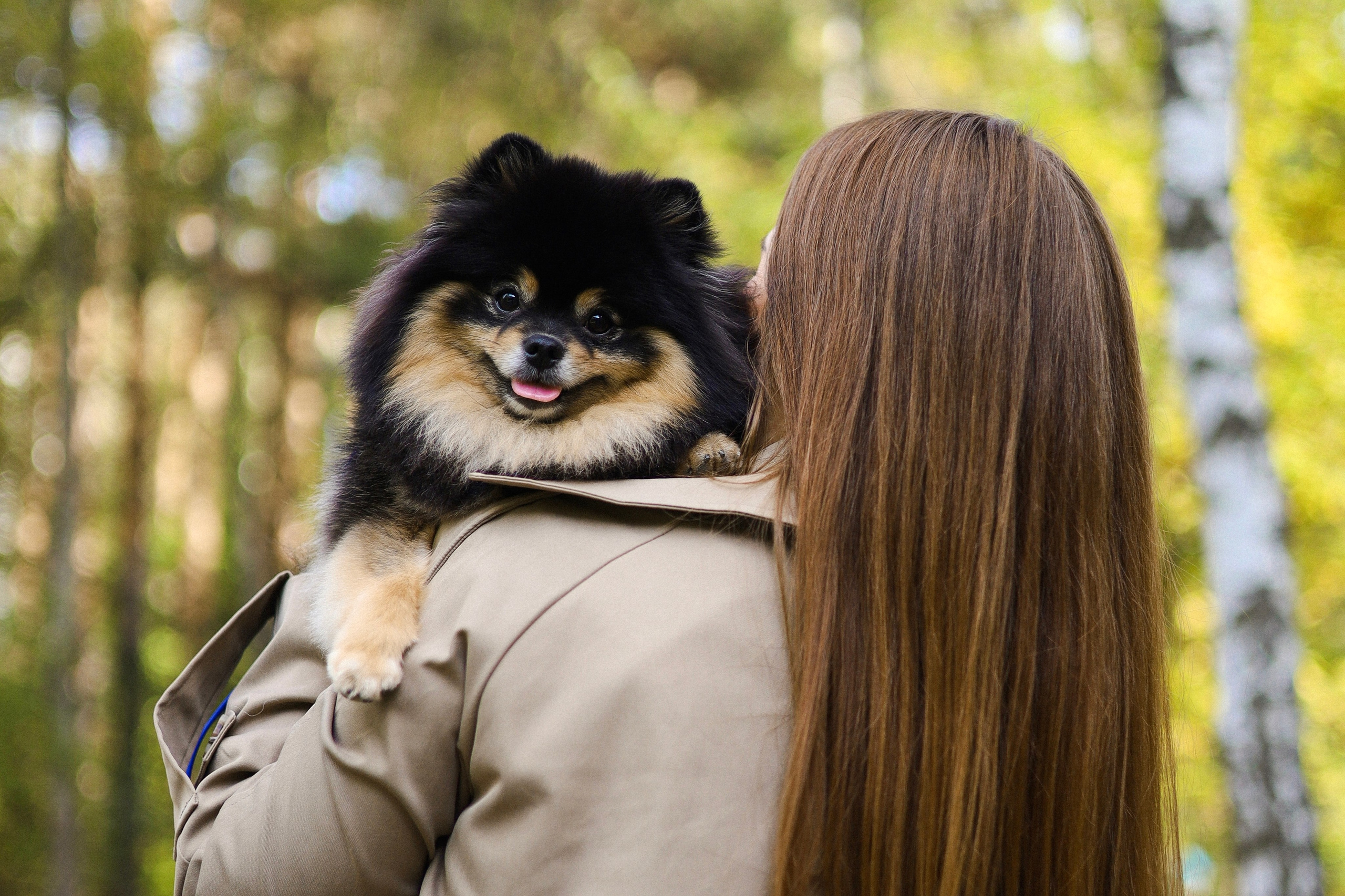 Арчи и Анастасия. Фотограф-анималист Ксения Шевцова|Москва