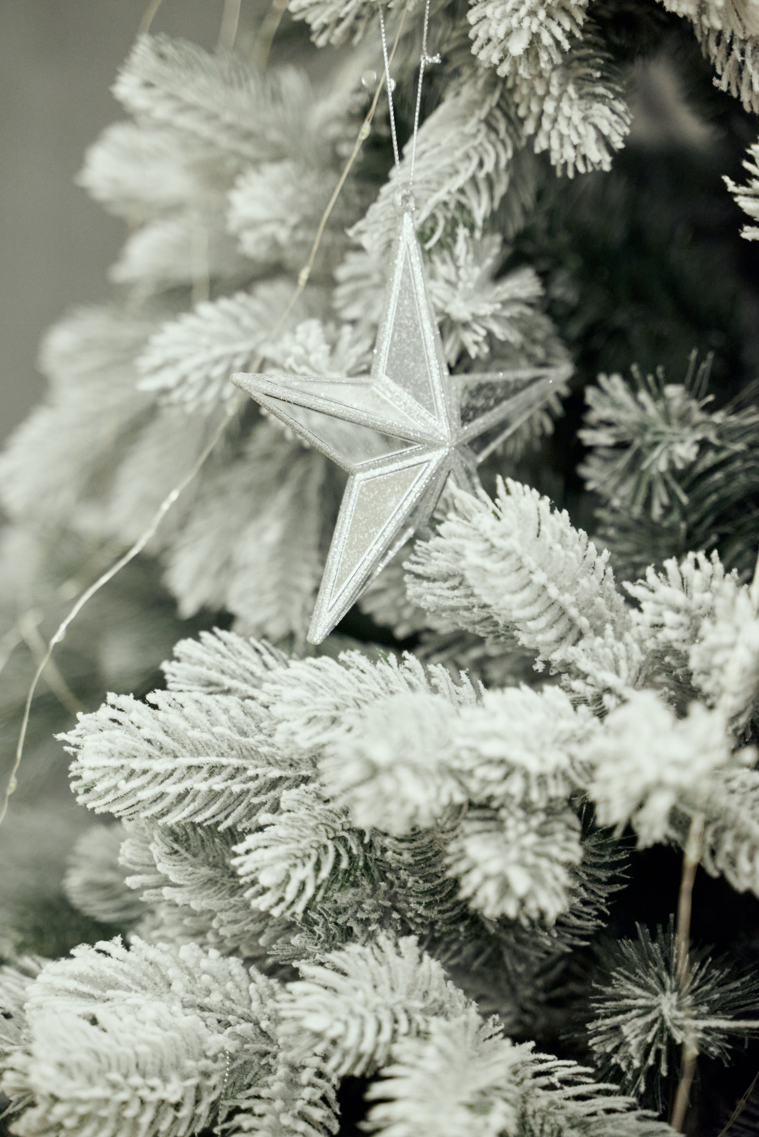 Корпоратив. Свадебный фотограф Александр Браво