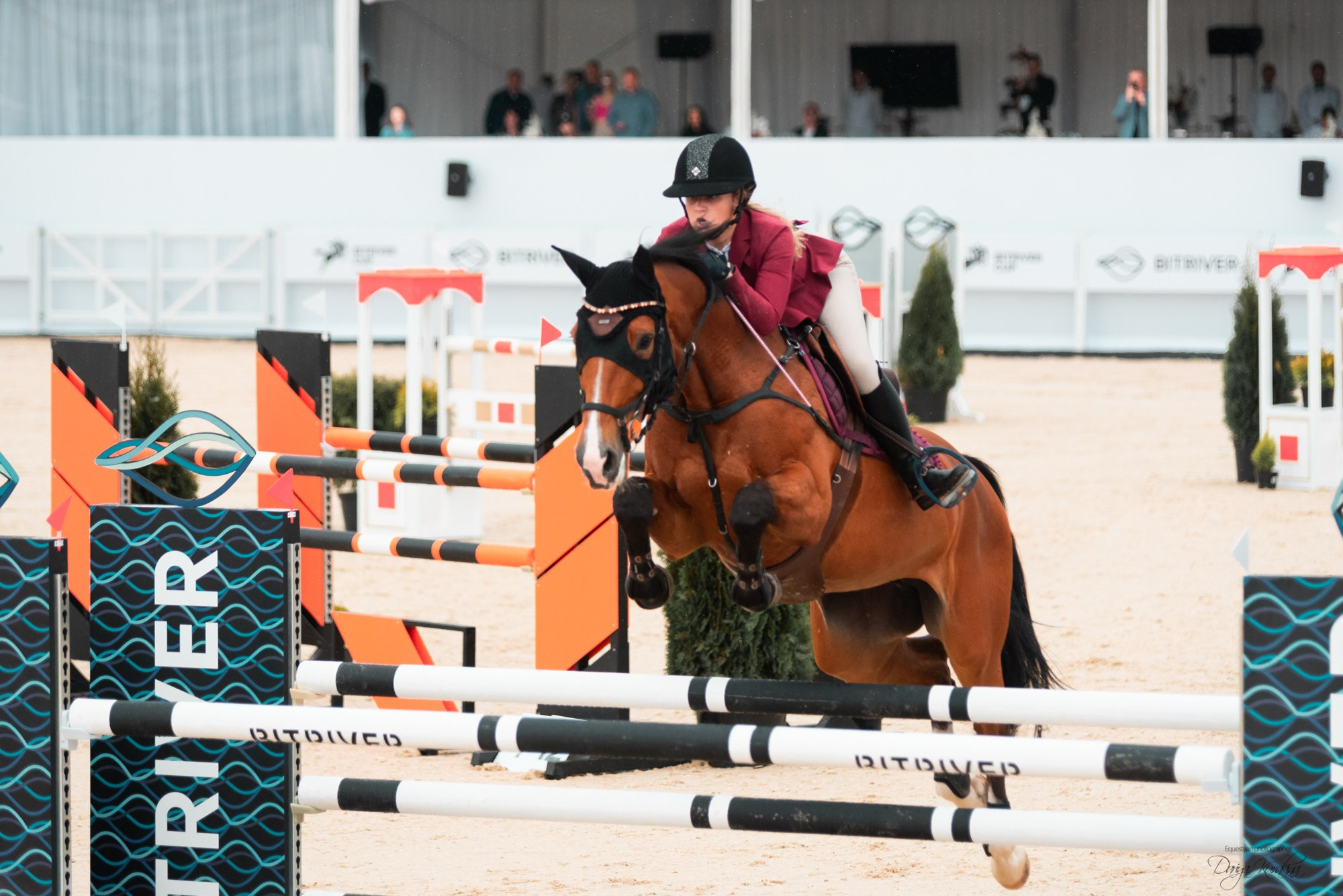 BITRIVER CUP 2023. Конный фотограф Куракина Дарья • Фотосессии с лошадьми