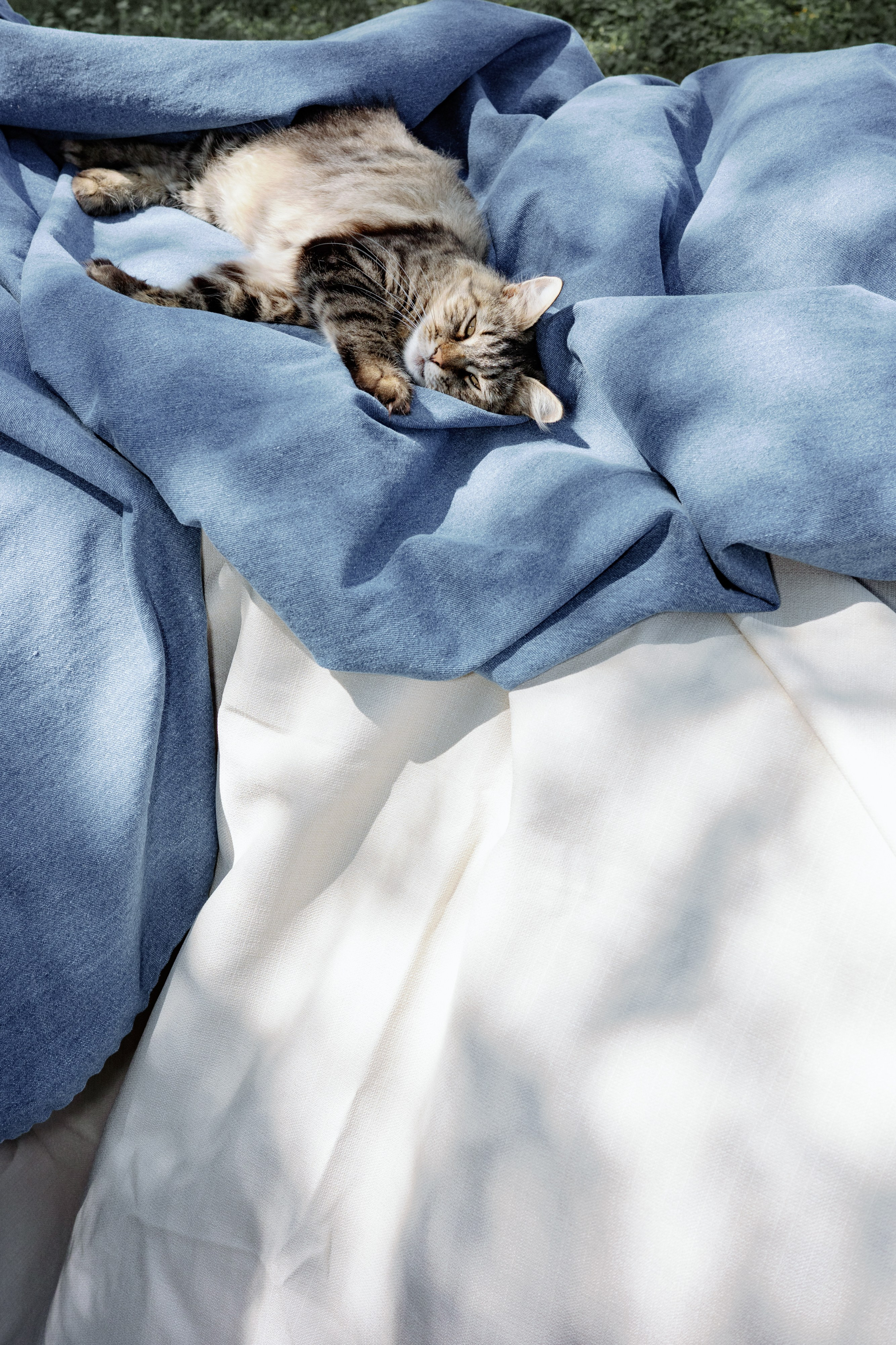 LEVI'S LUV. Fusion Wedding Photographer