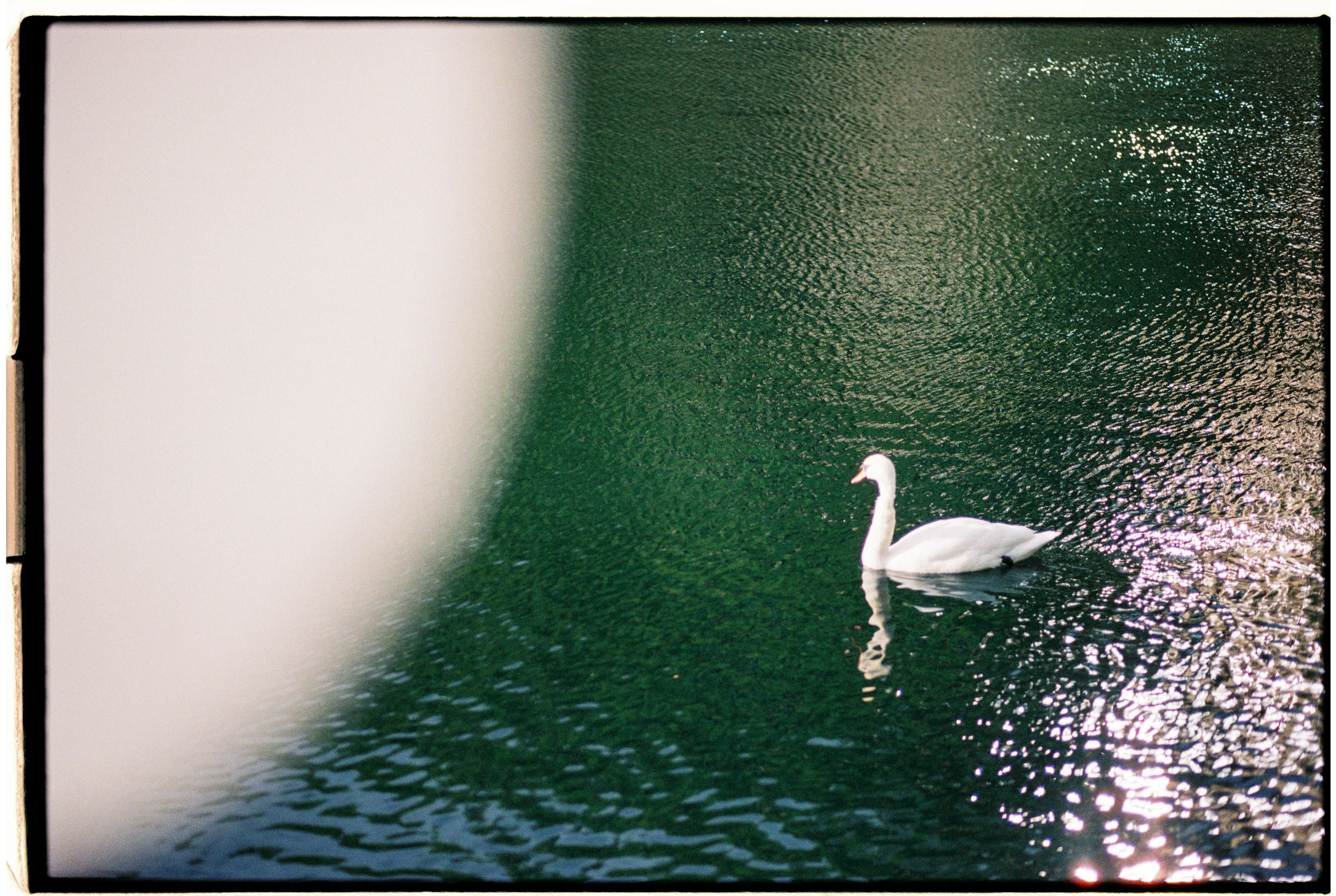 May 2023. Никита Демидов. Nikita Demidov