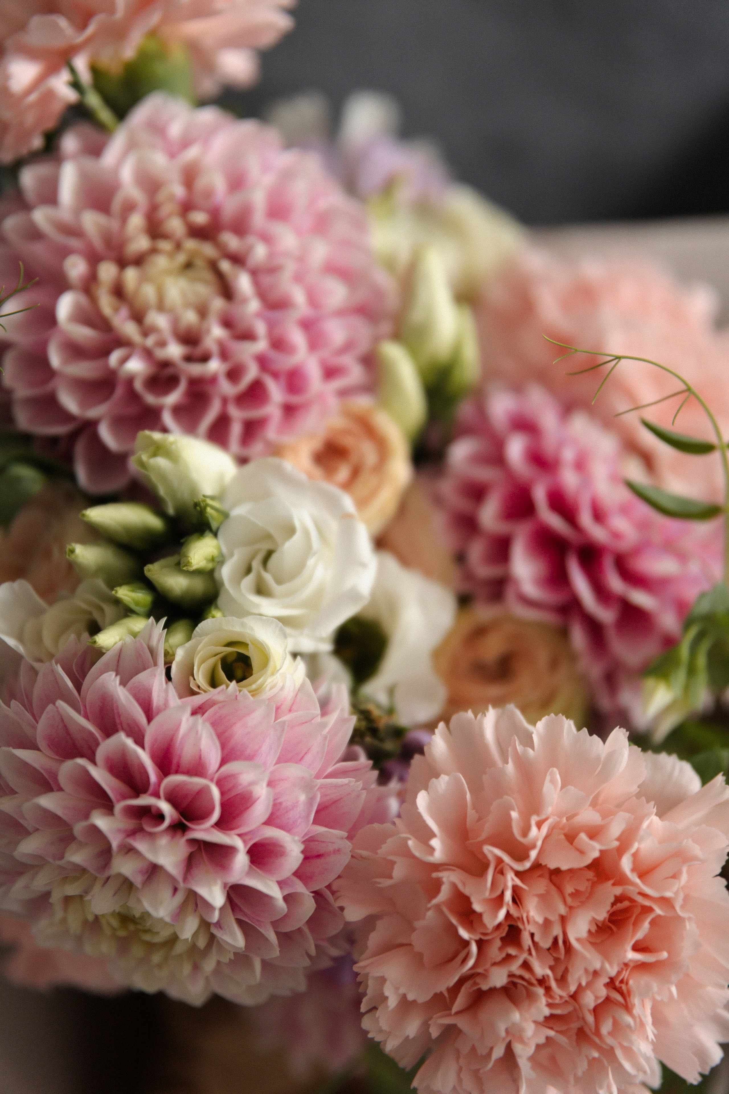 Владимир и Анна. Фотограф Тюмень Пушковская Кристина