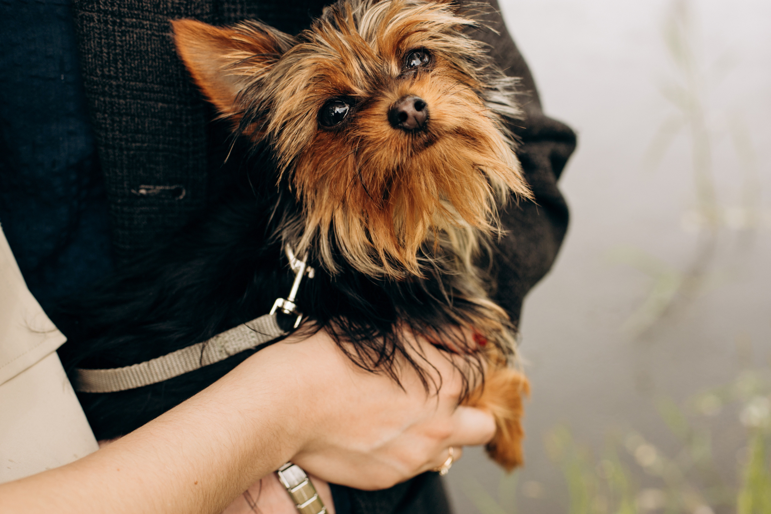 Лиза, Влад и Тайсон)