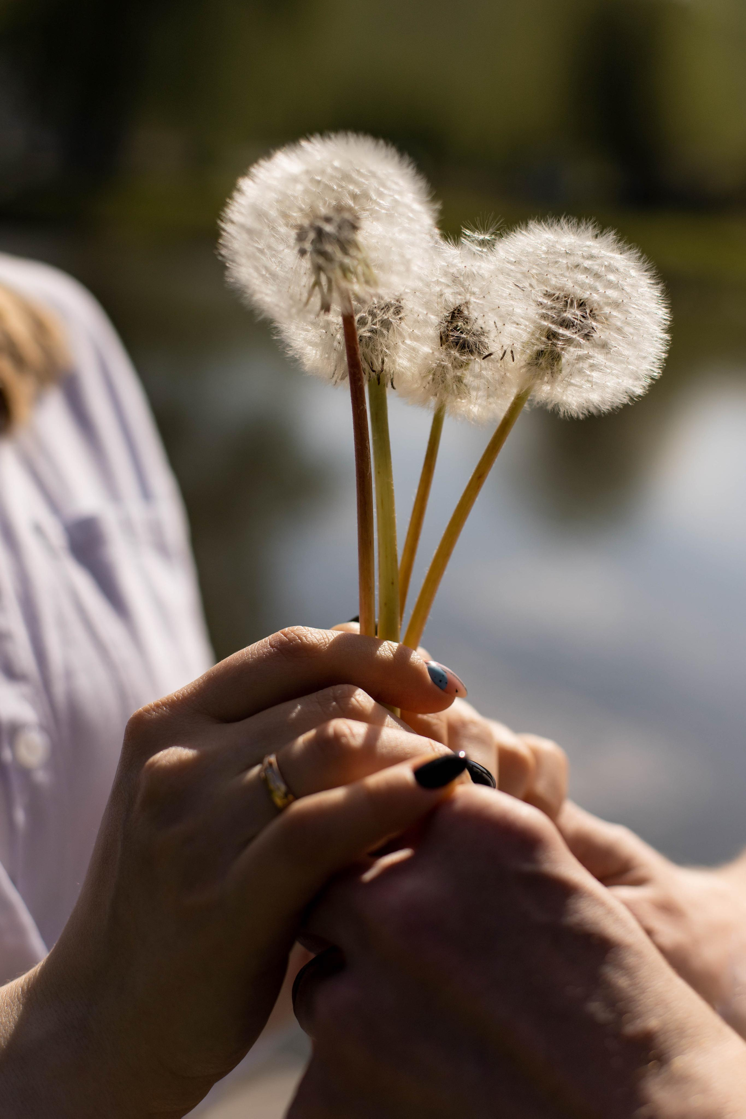 Артем и Анастасия. Фотограф Белгород