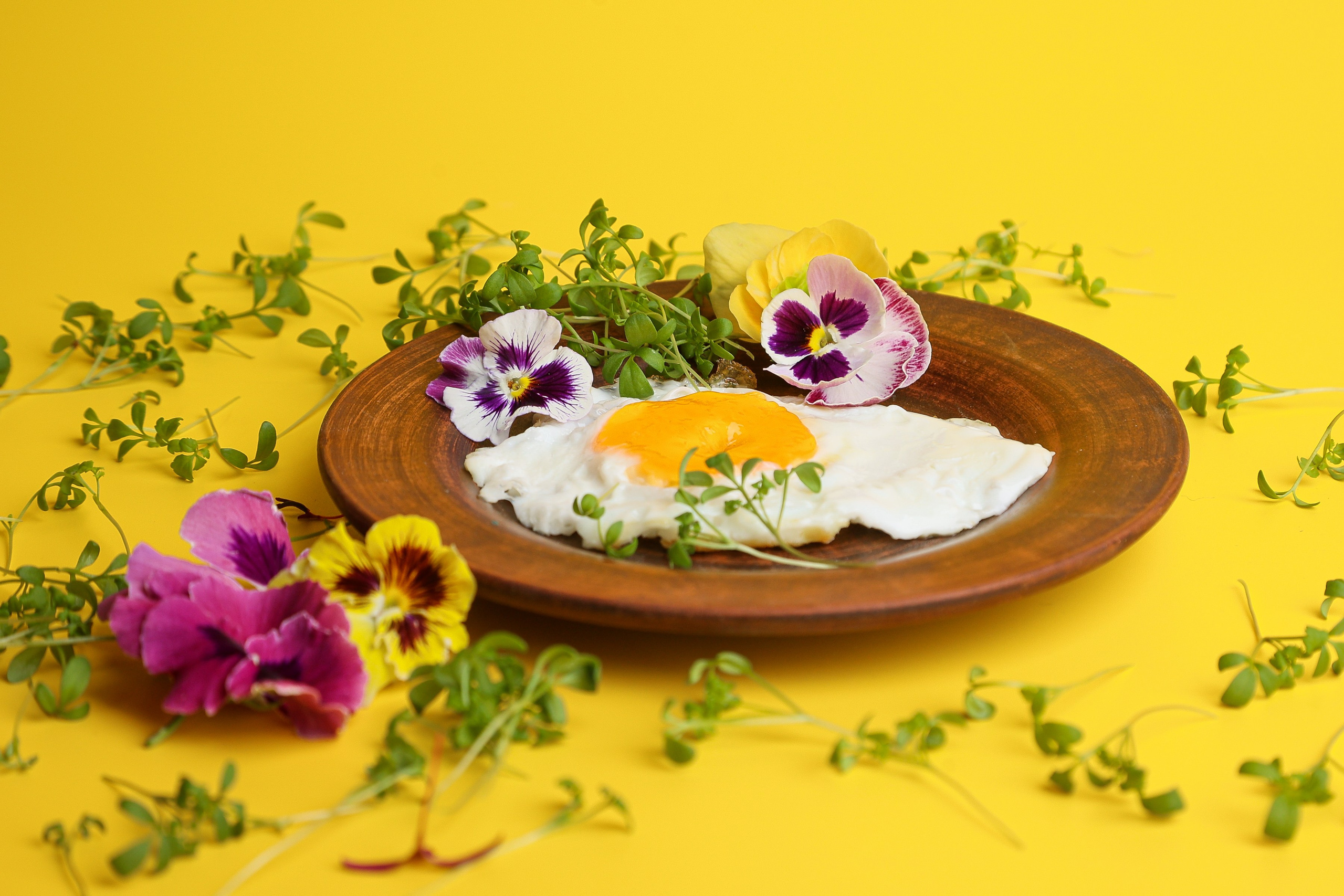 Портфолио. Предметная съемка