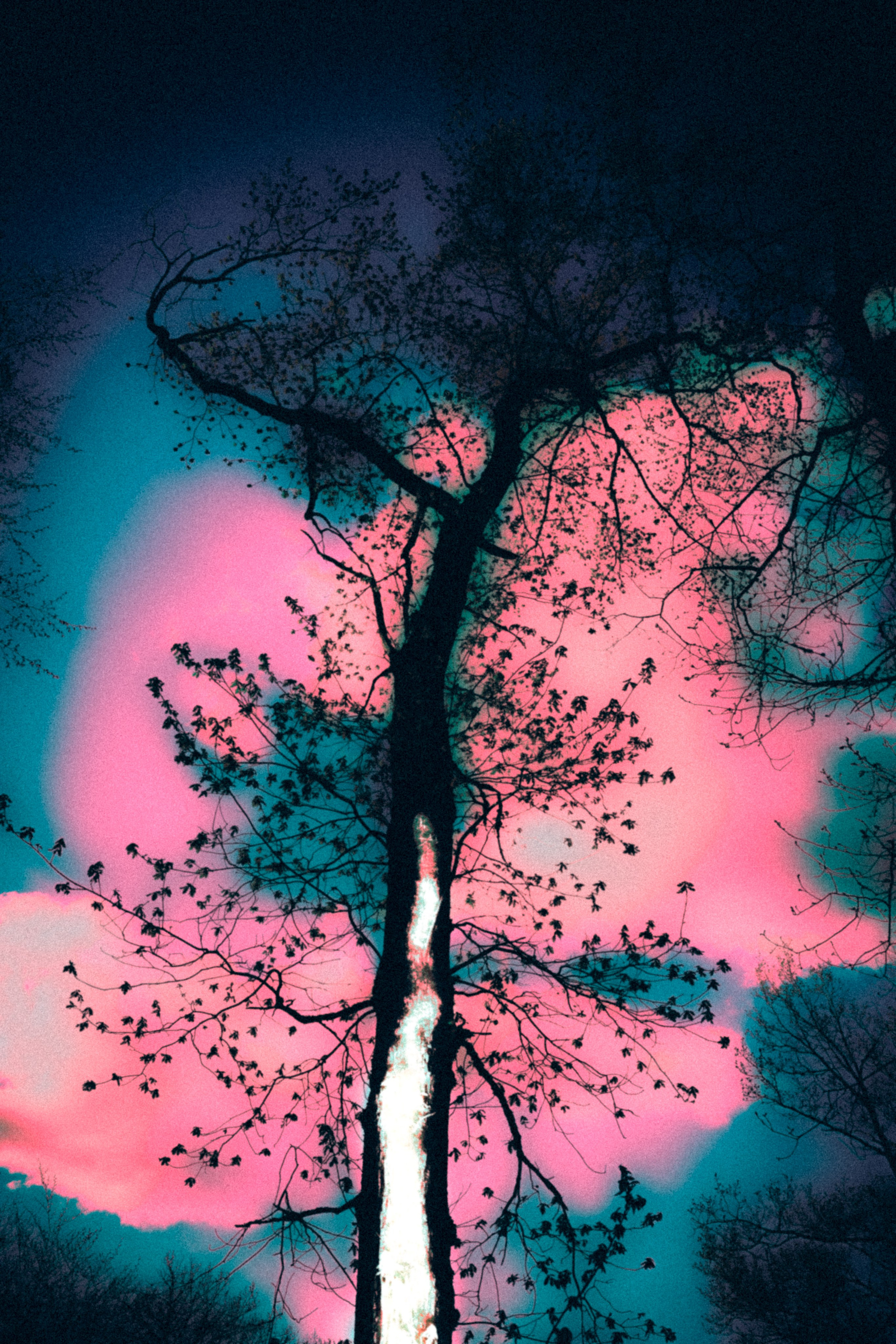 Катарсис. Фотограф, фотохудожник г. Краснодар Оксана Зинченко