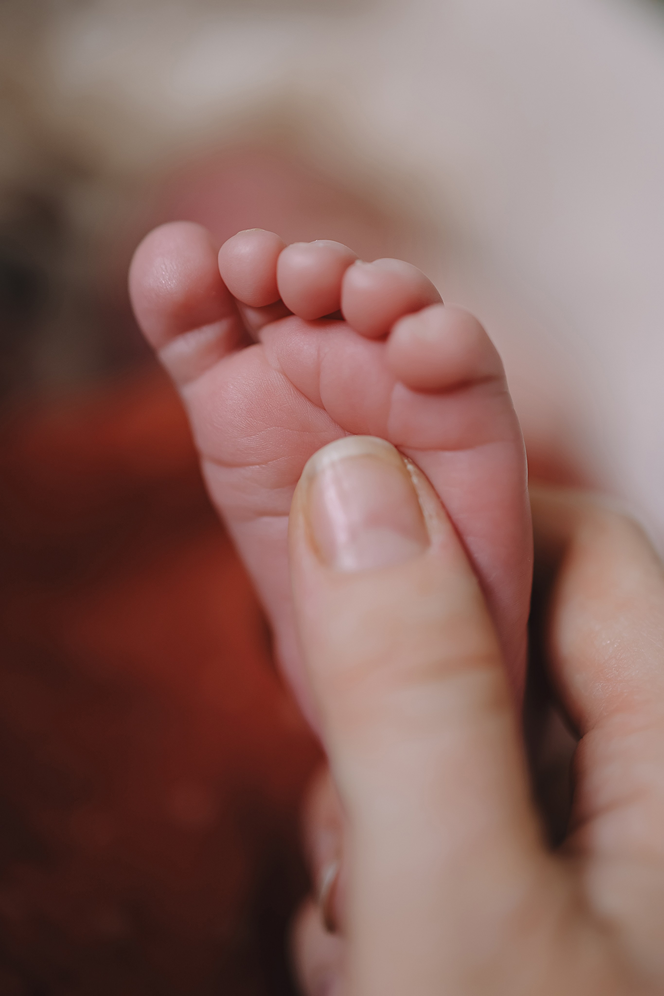 Ефим, 2 недели. Семейный фотограф Тюмень, фотограф на роды Салмина Мария