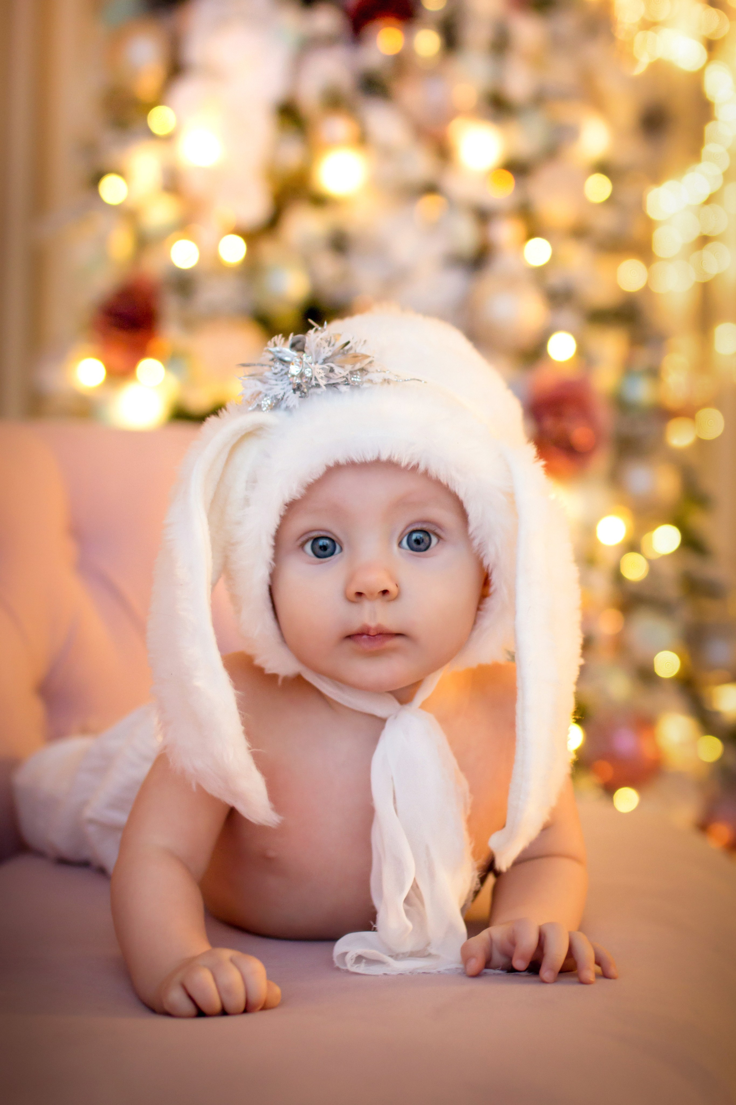 Новогодние фотосессии. Елена Данилова фотограф беременности в Кемерово