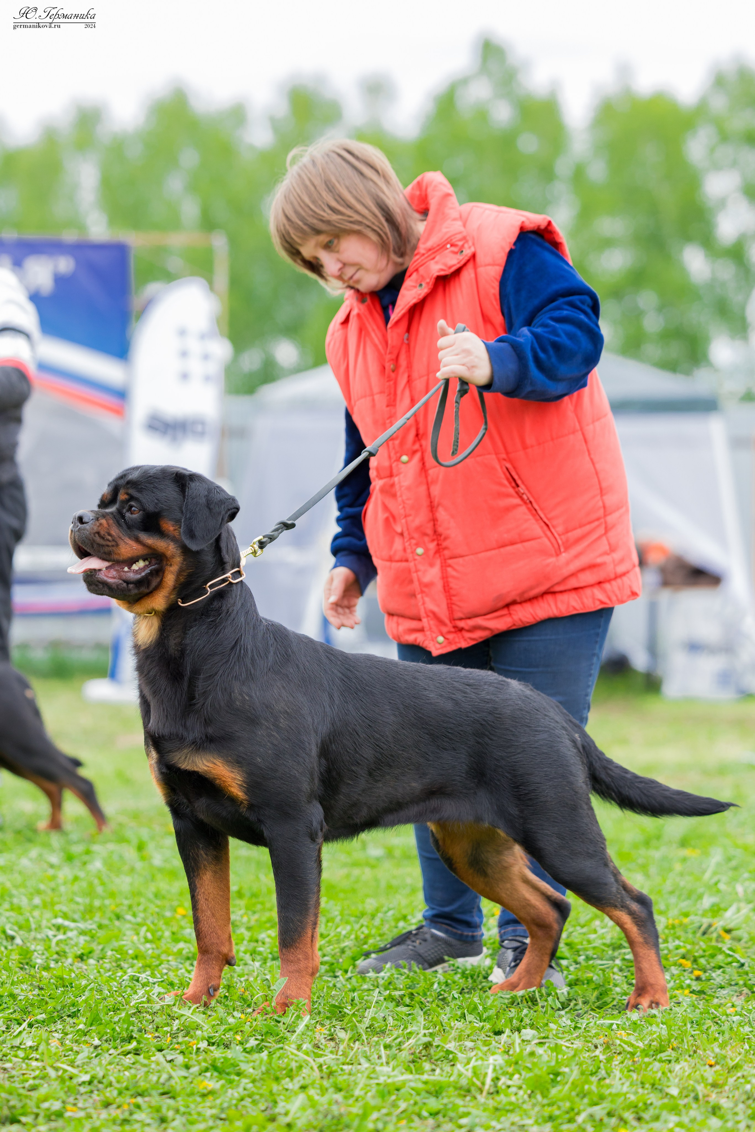 Нижний Новгород 11-12.05.2024 моно ротвейлеров. Фотограф-анималист Юлия Германика